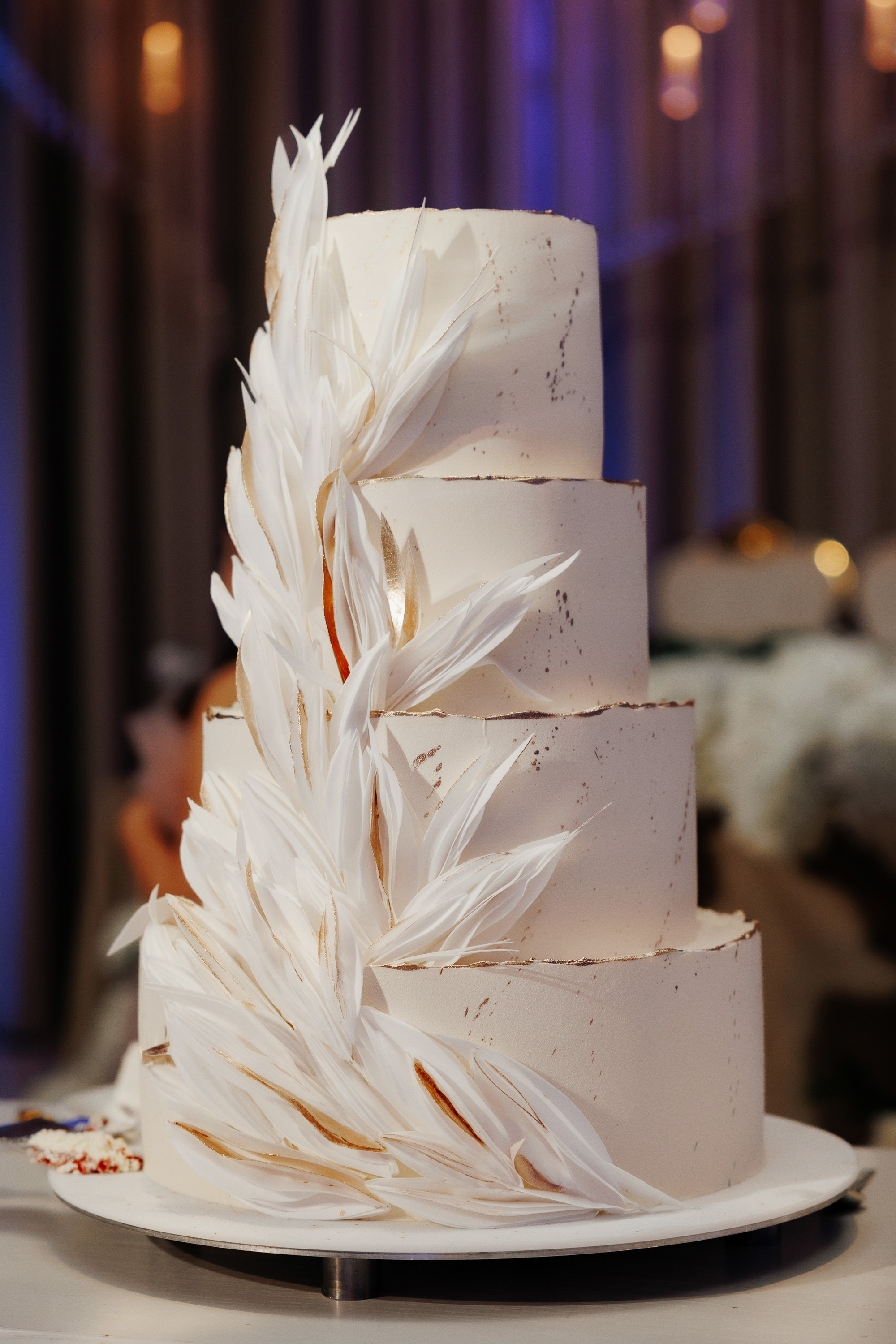 Fotografie și film ID-Brothers. Servicii Foto Video în Chișinău și Europa ID-Brothers