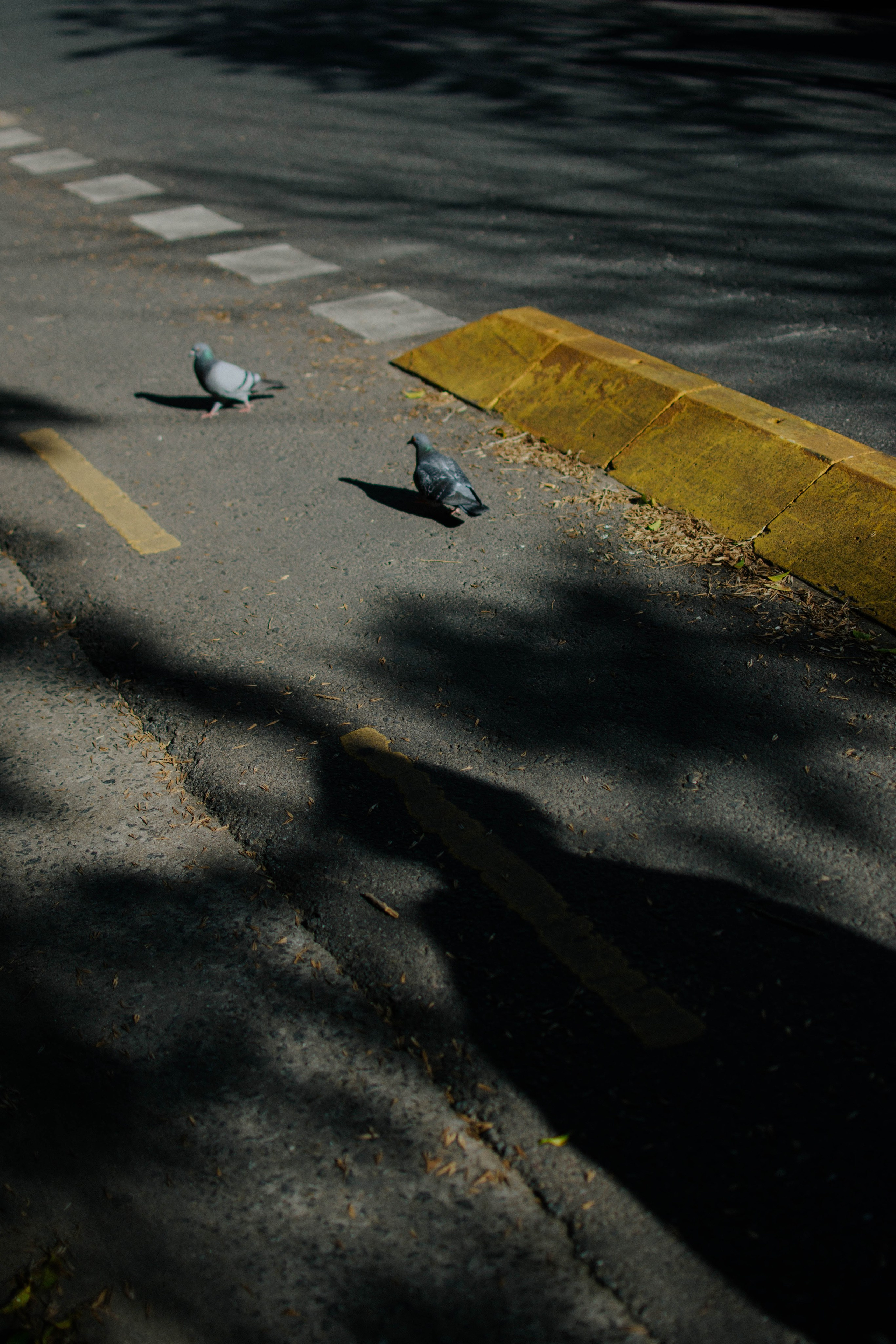 Photographer @elmirkami in the city of Buenos Aires
