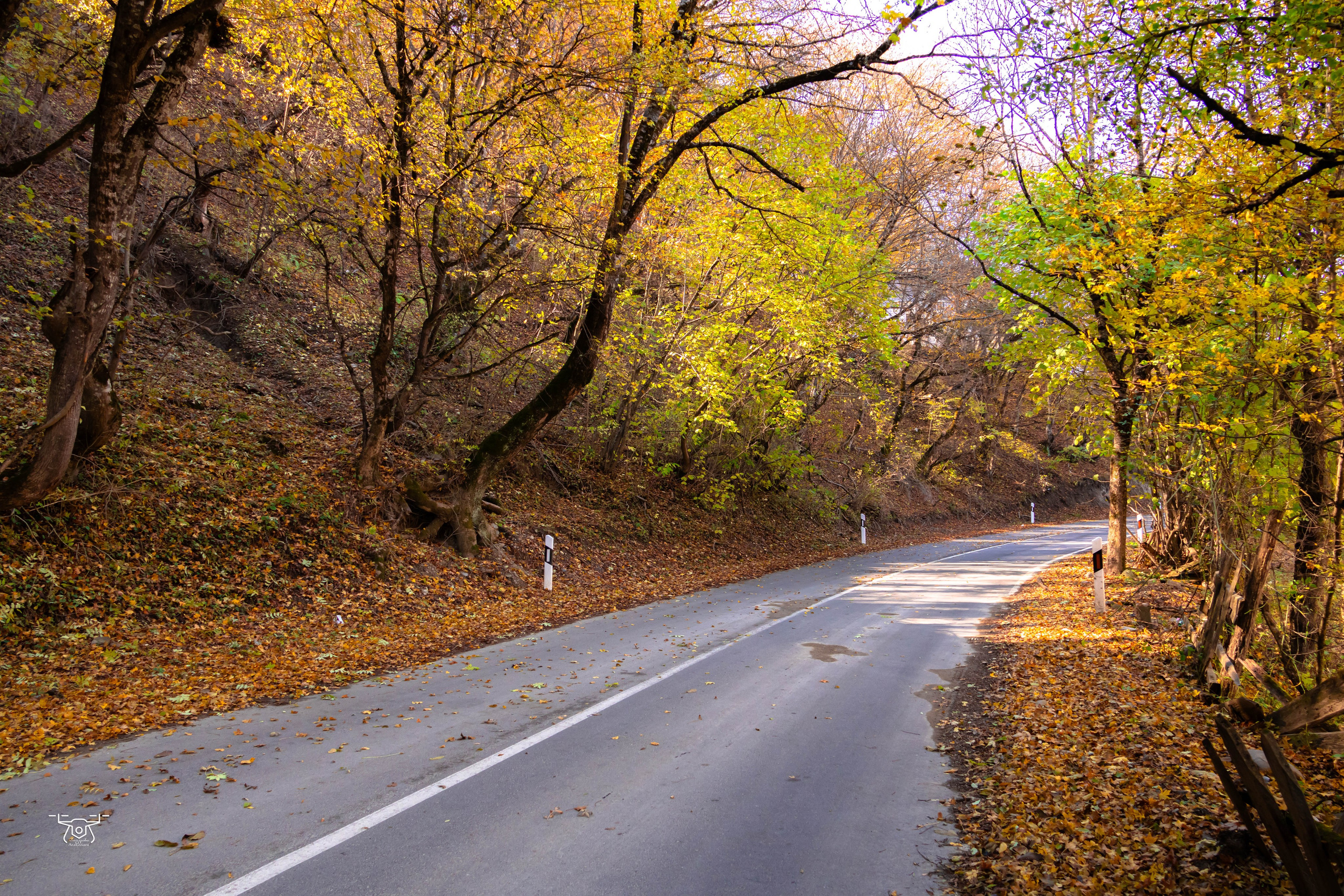 ბუნება. FramefreeMan