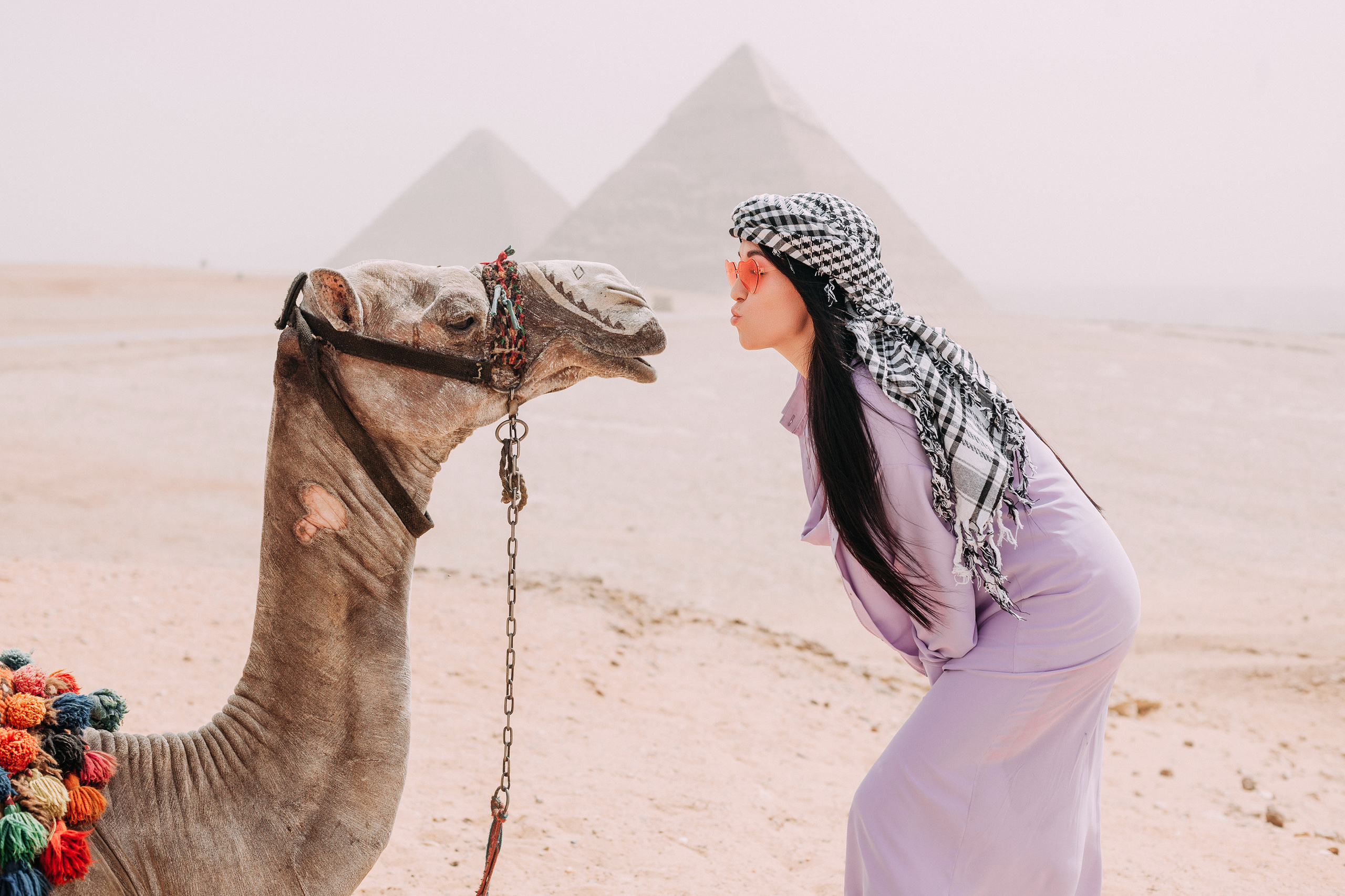 девушка целует верблюда на фоне пирамид