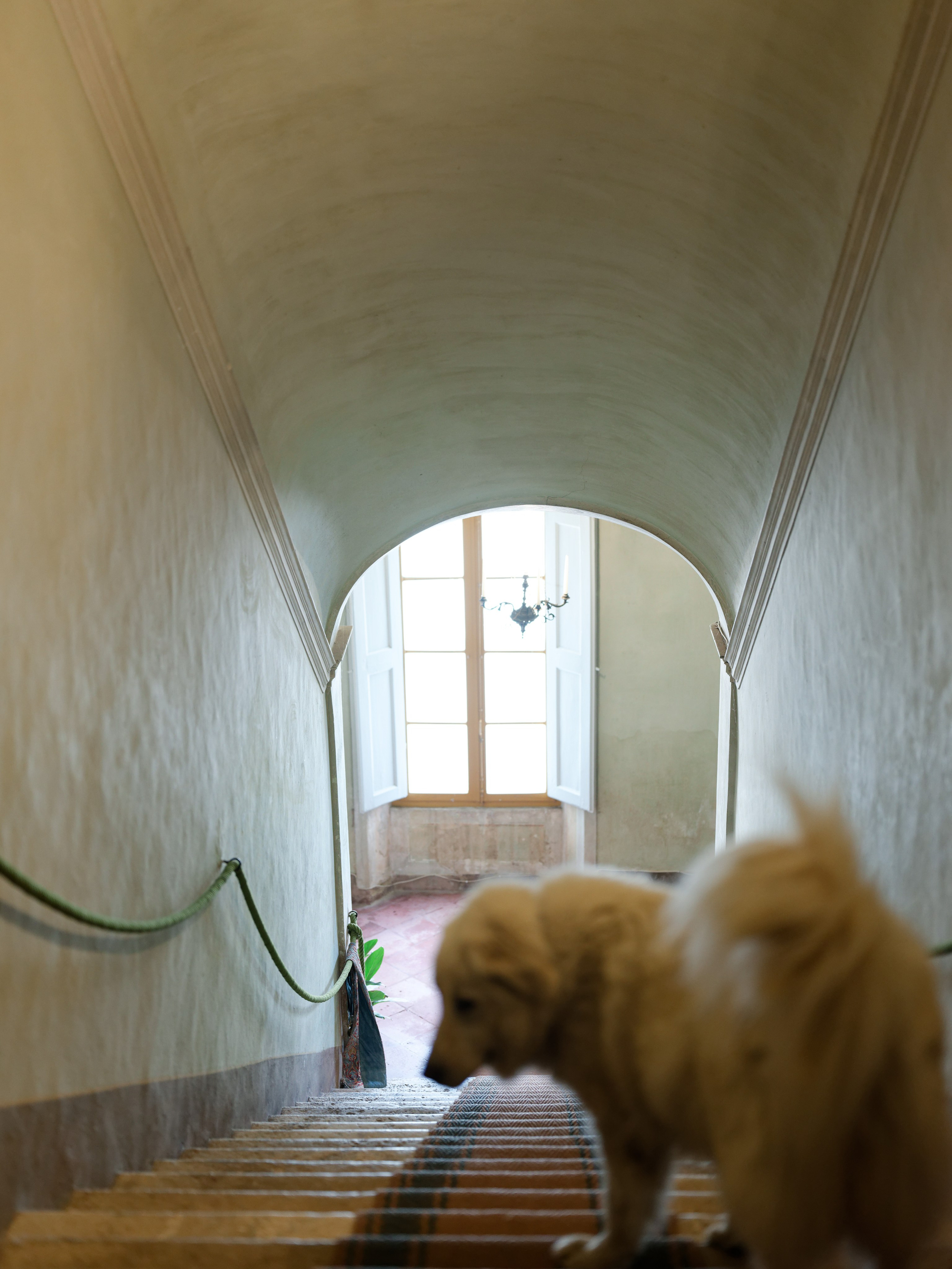 Wedding editorial at Villa di Geggiano, Tuscany, Italy