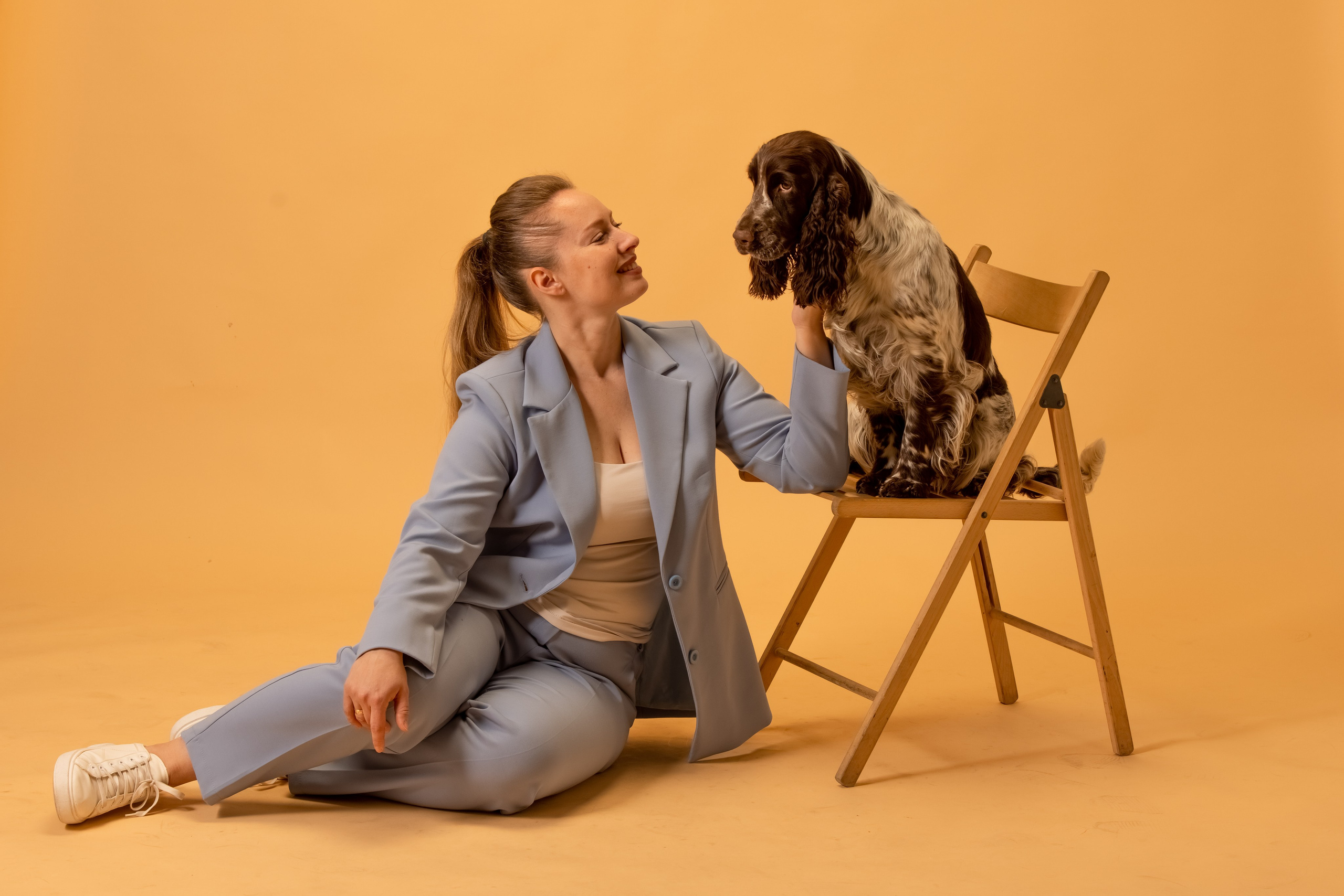English Springer Spaniel female show stance conformation