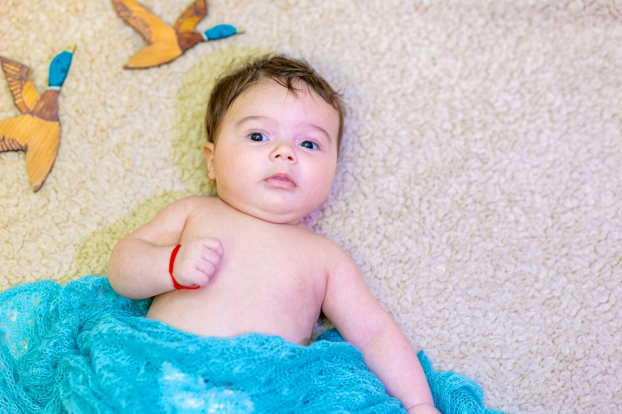 Andrei Sebastian. Moments By Gub