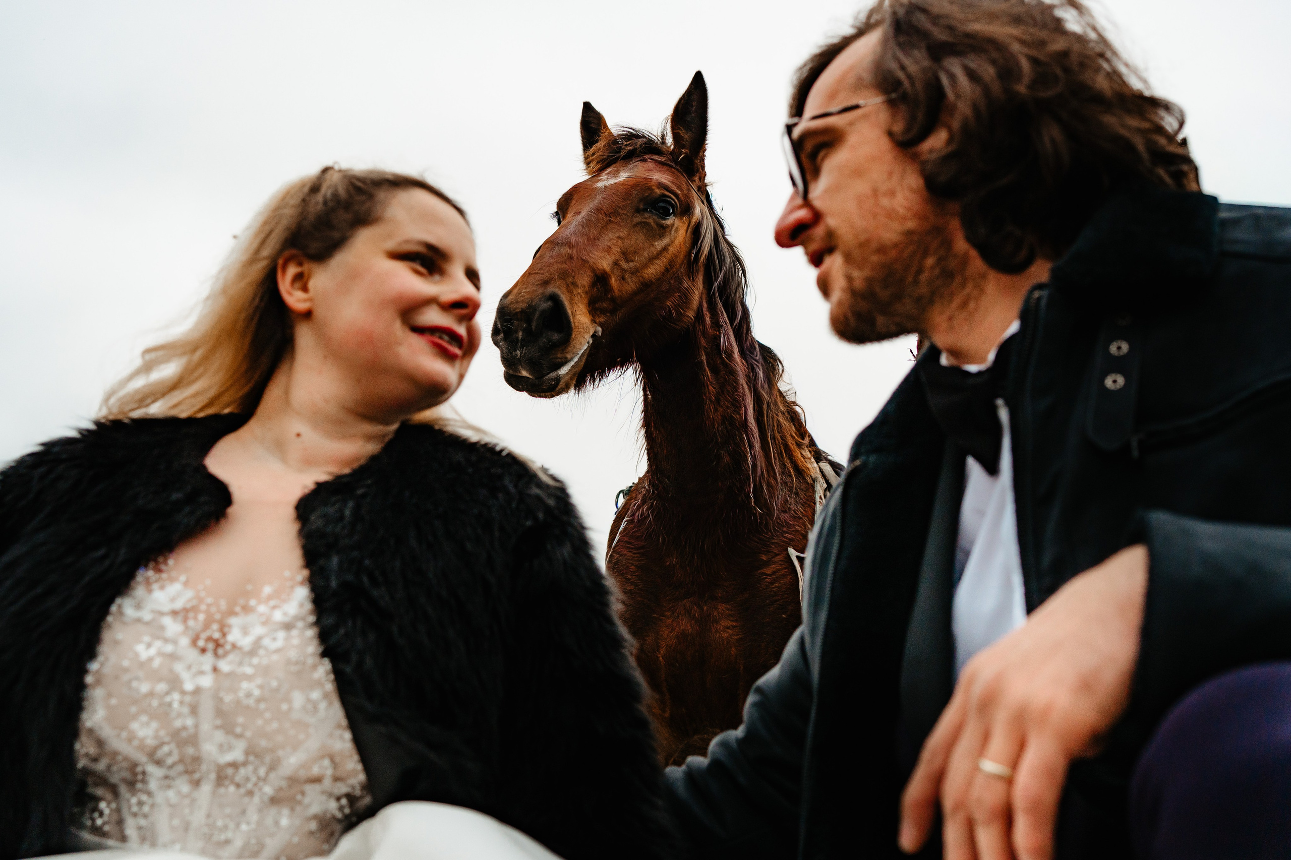 Foto-Video Nunta Iasi, Suceava, Bucuresti / Disponibilitate 2025 — 2026 — 2027