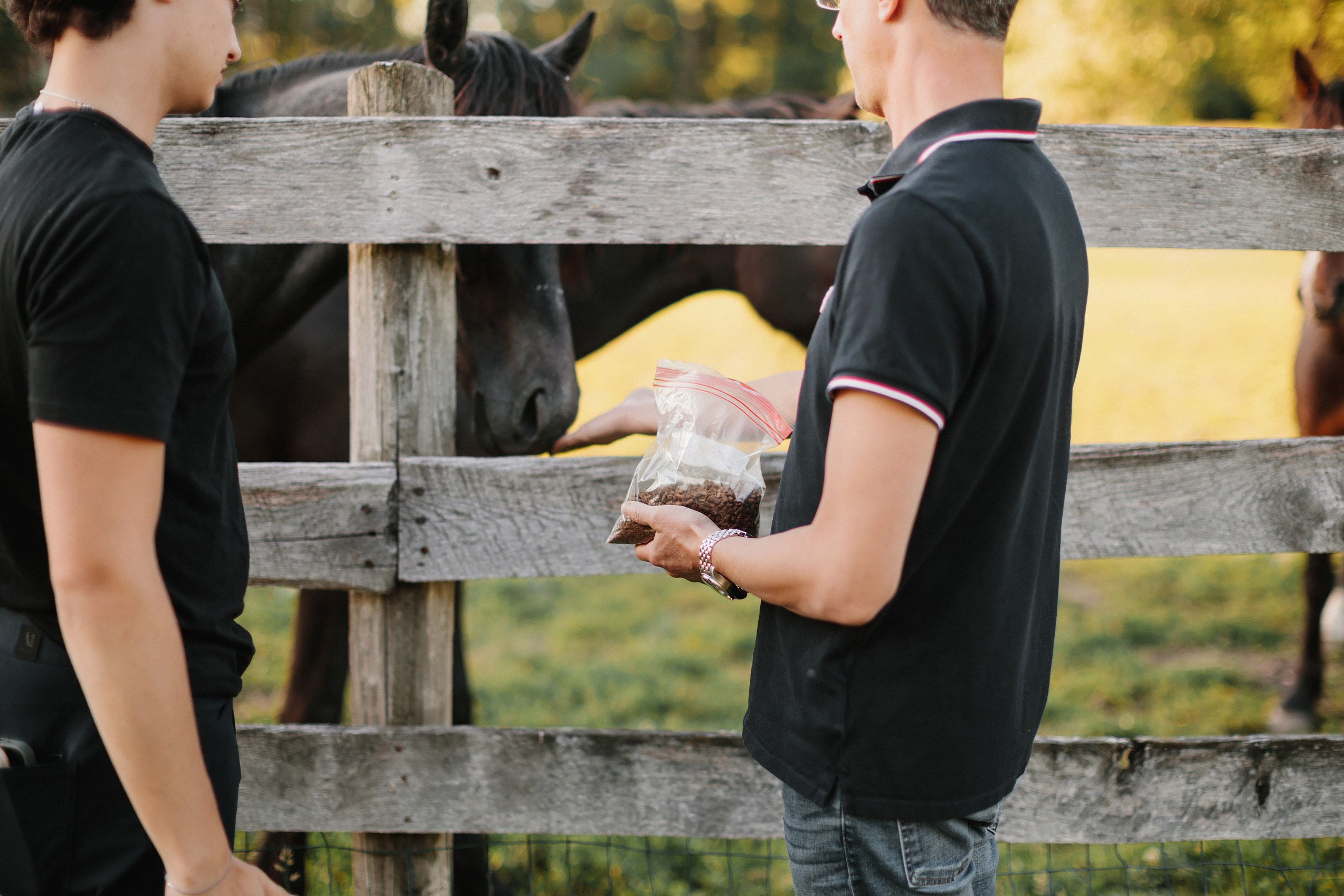 30.05.24 Family Photoshoot. Wedding family event photographer in Chicago Nick Yushevich