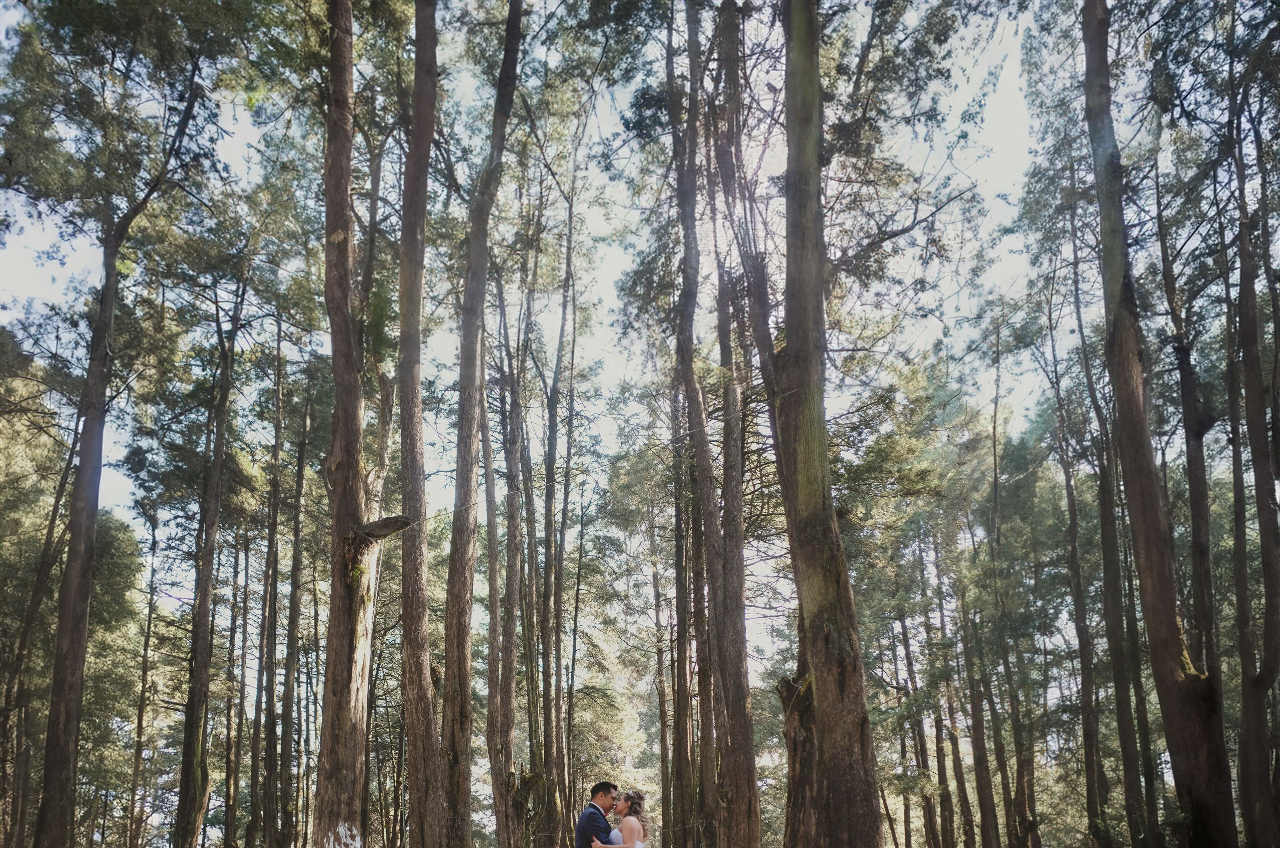 Itzel & Adrian. Wedding and family photographer in Mexico City