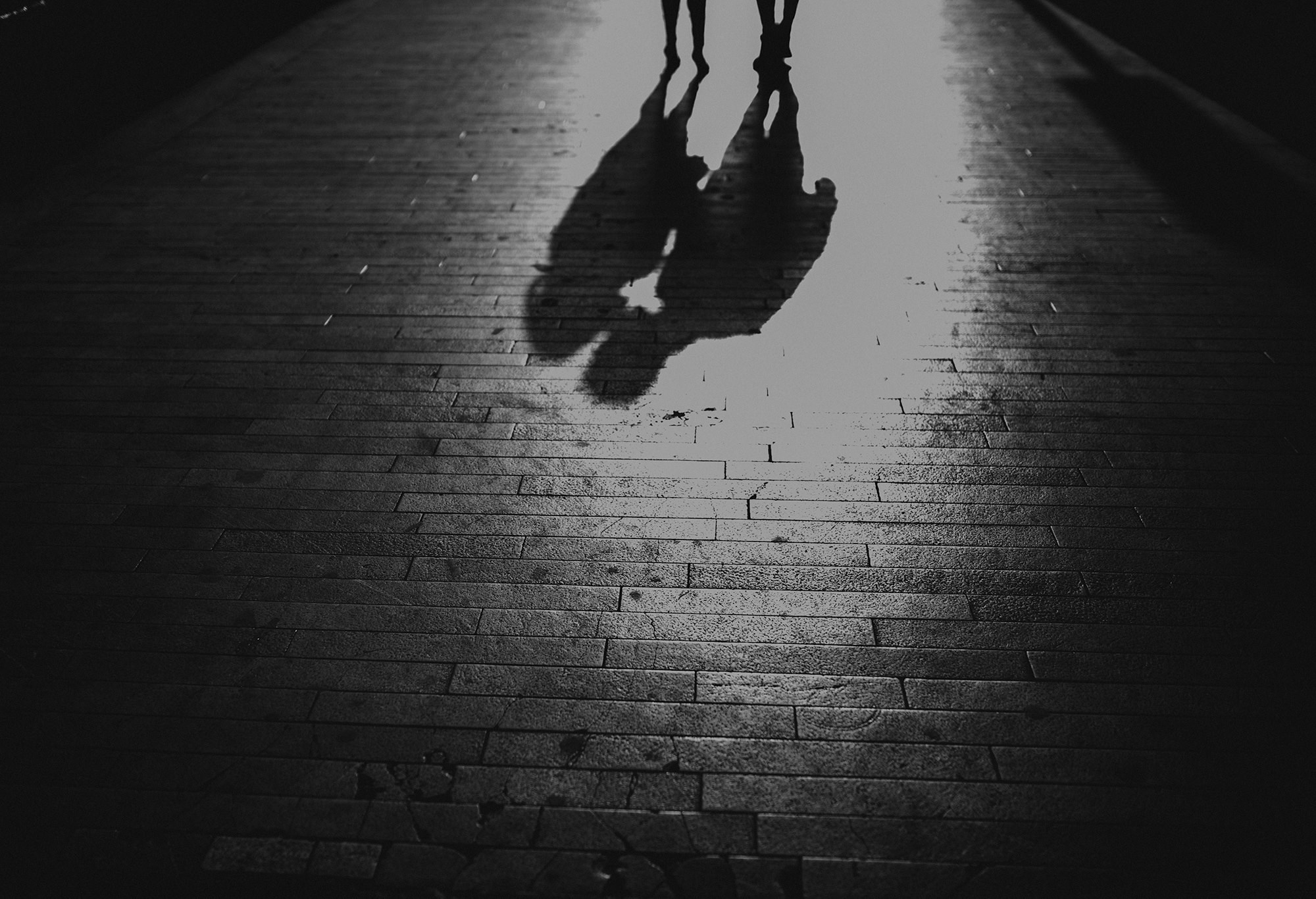 Tania & Ivan. Wedding and family photographer in Mexico City