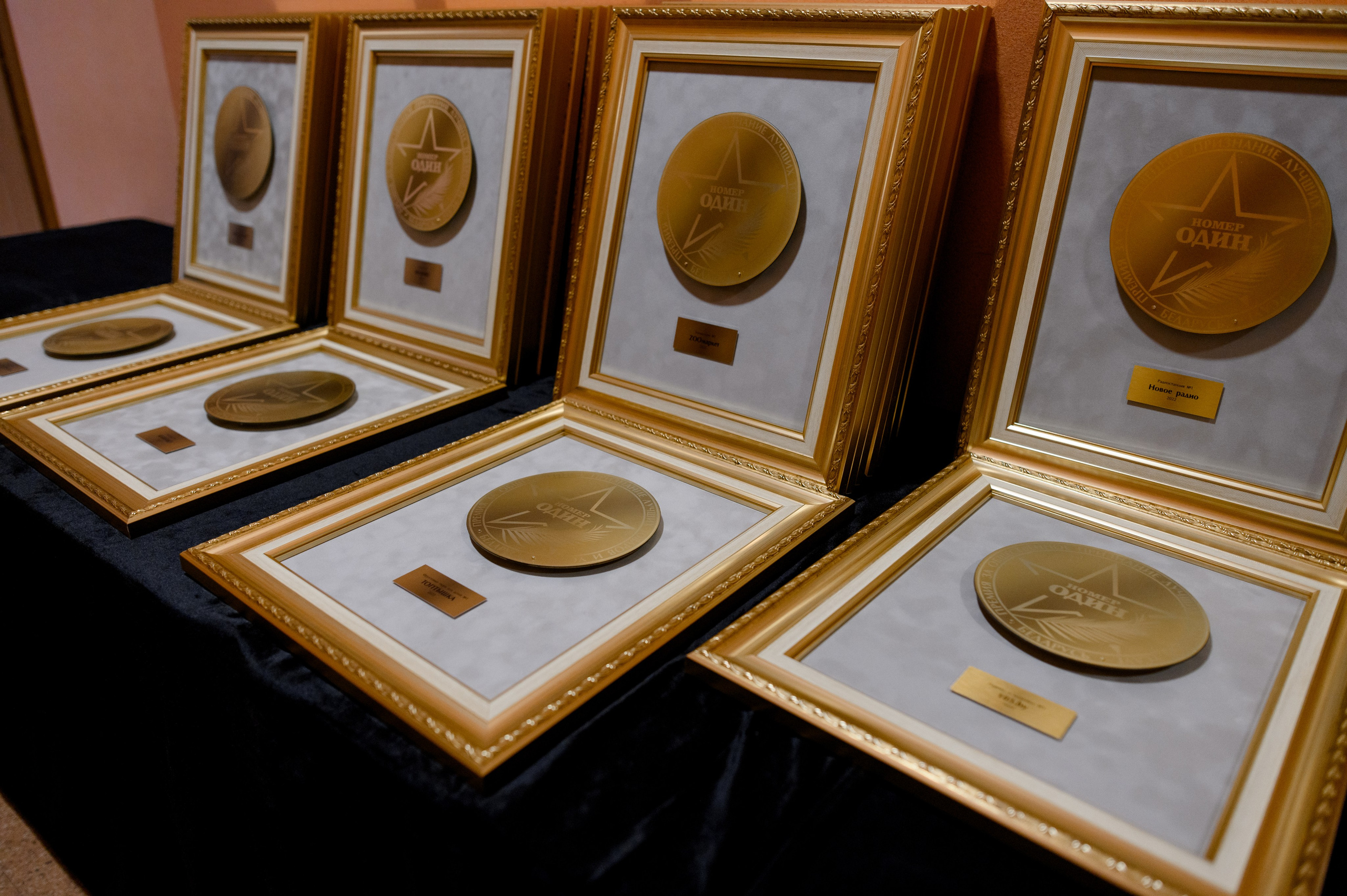 Premia “Nomer Odin” 2022. Destination Wedding photographer Italy, France, Germany, Spain, Poland Oleg Zaicev