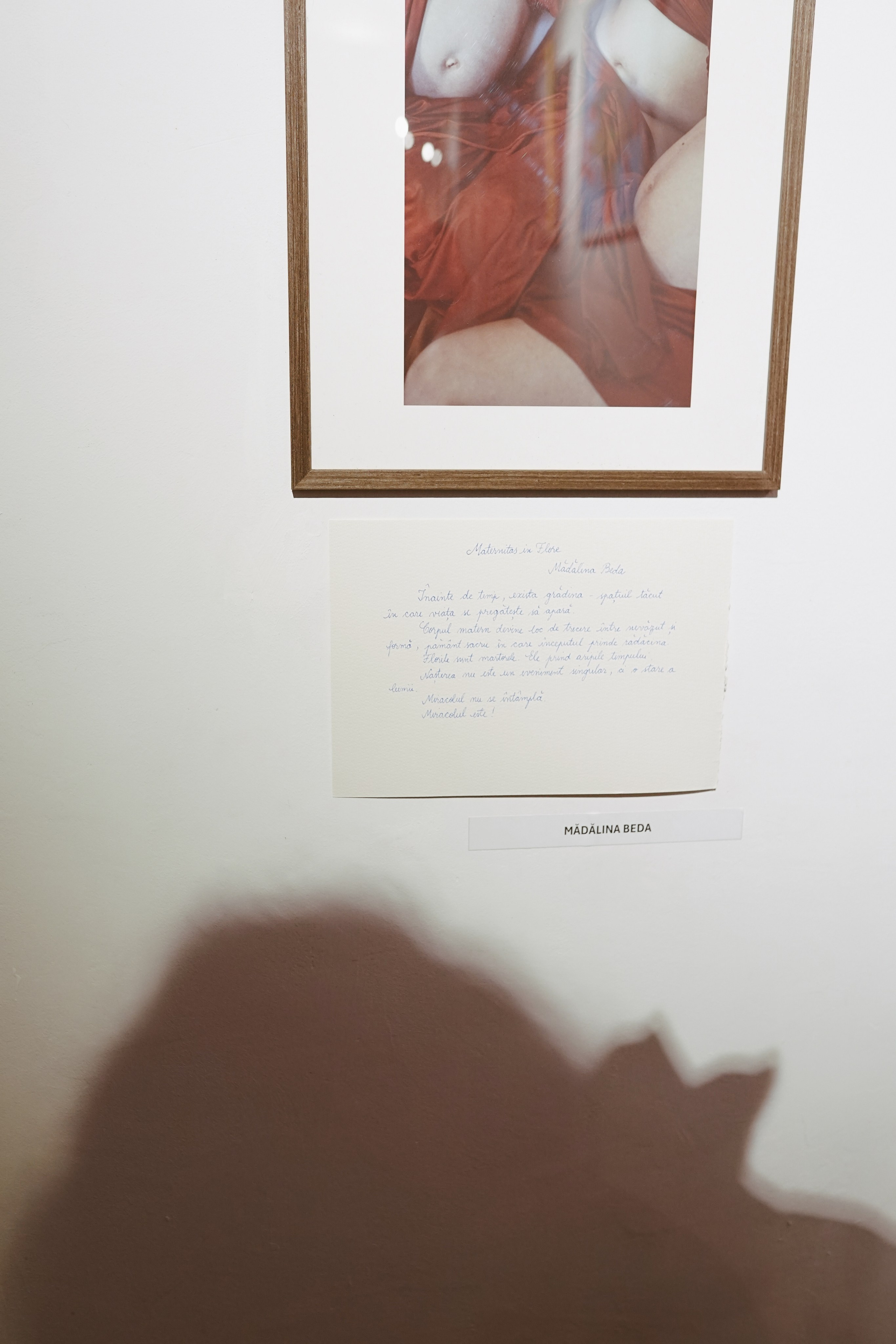 Expoziție Foto Maternitate Brașov | Mădălina Beda. Madalina Beda- Artist vizual, fotograf, doula la nastere, consultant babywearing Brasov si in toata tara