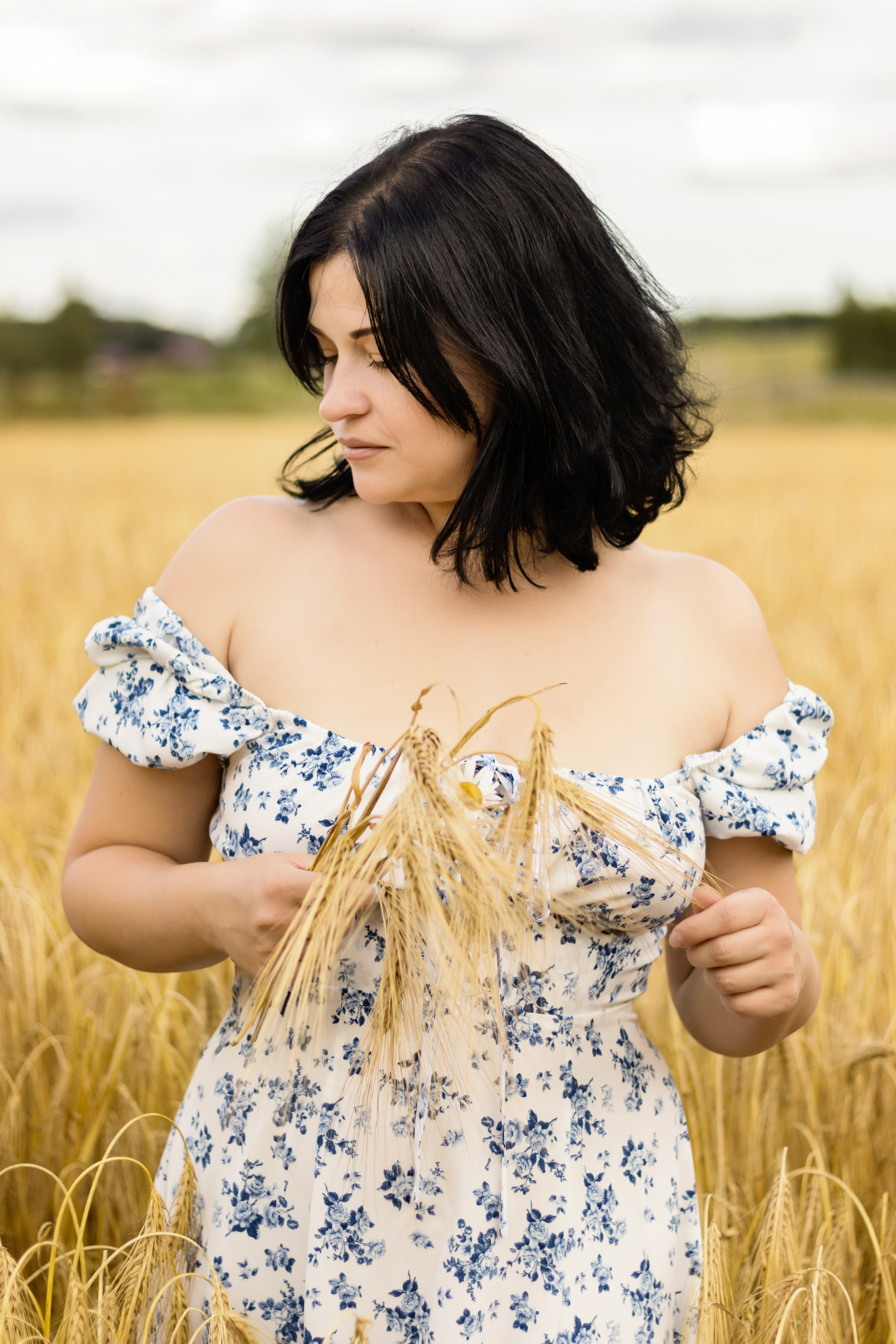 Фотосессия в пшеничном поле. Фотограф / Даугавпилс