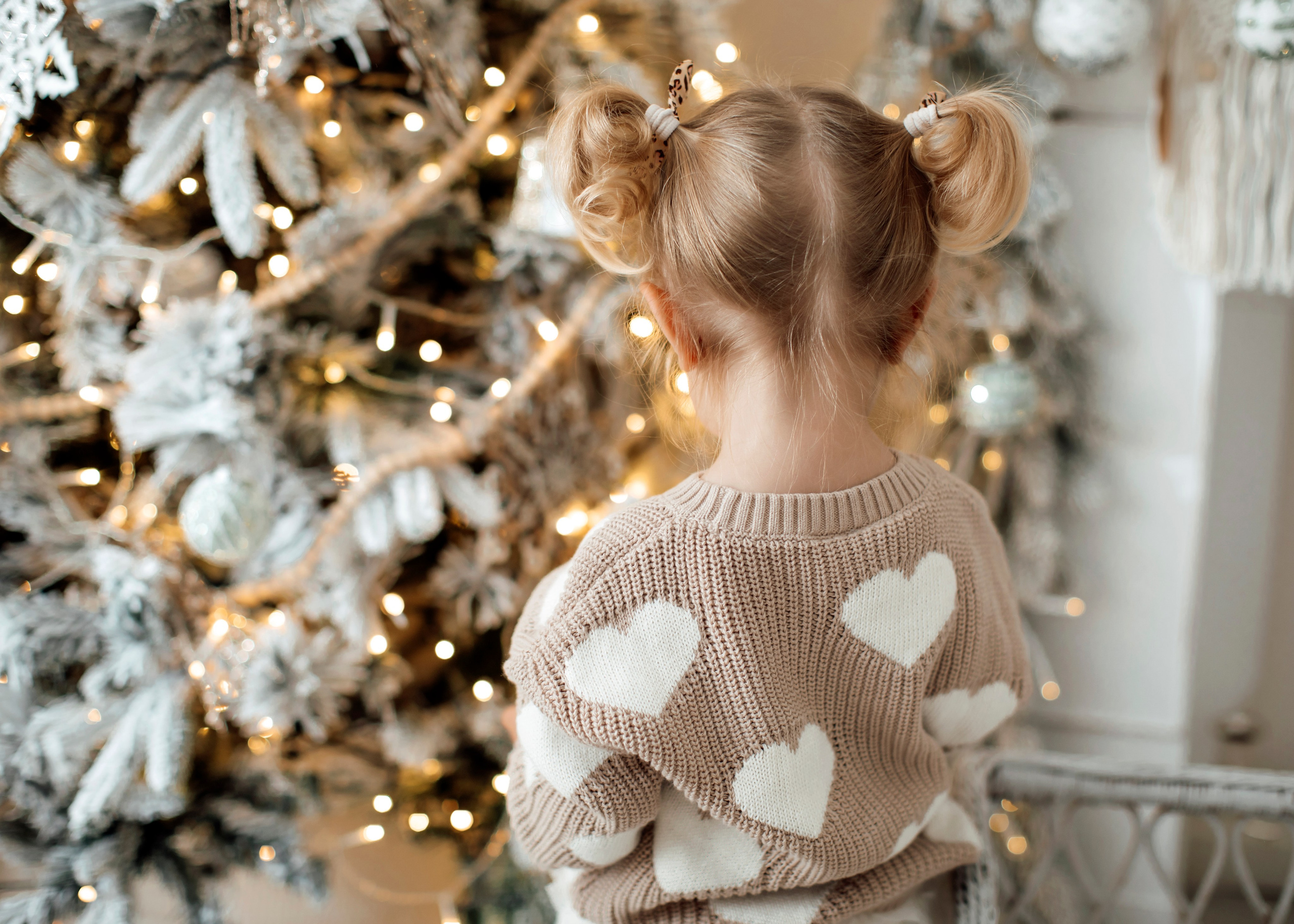 Julfotografering 2025🎄🎄🎄. Axlundphotography.se