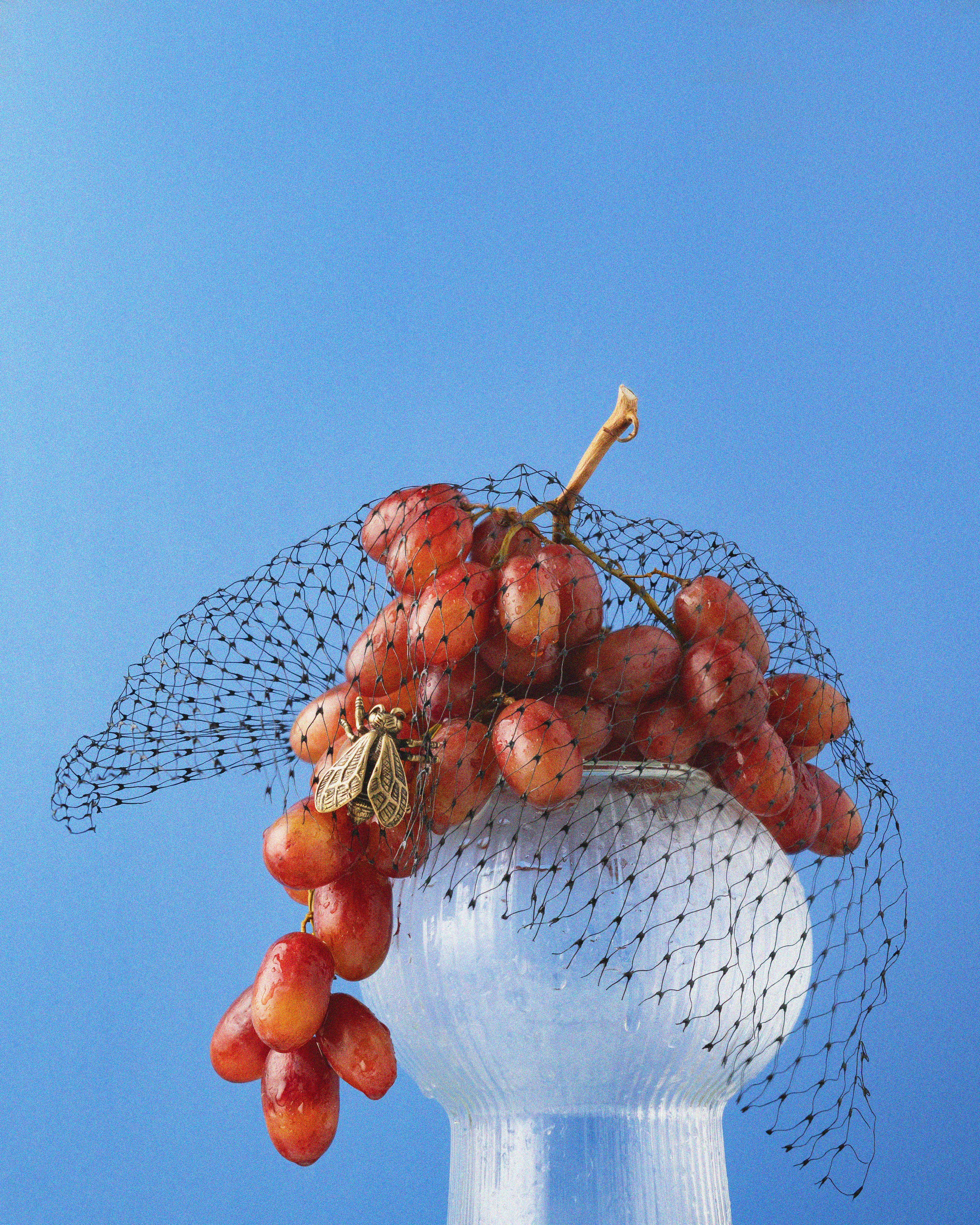 Commercial Food Photography – USA Menu & Advertising. LILIIA ZABOTKINA food photographer California