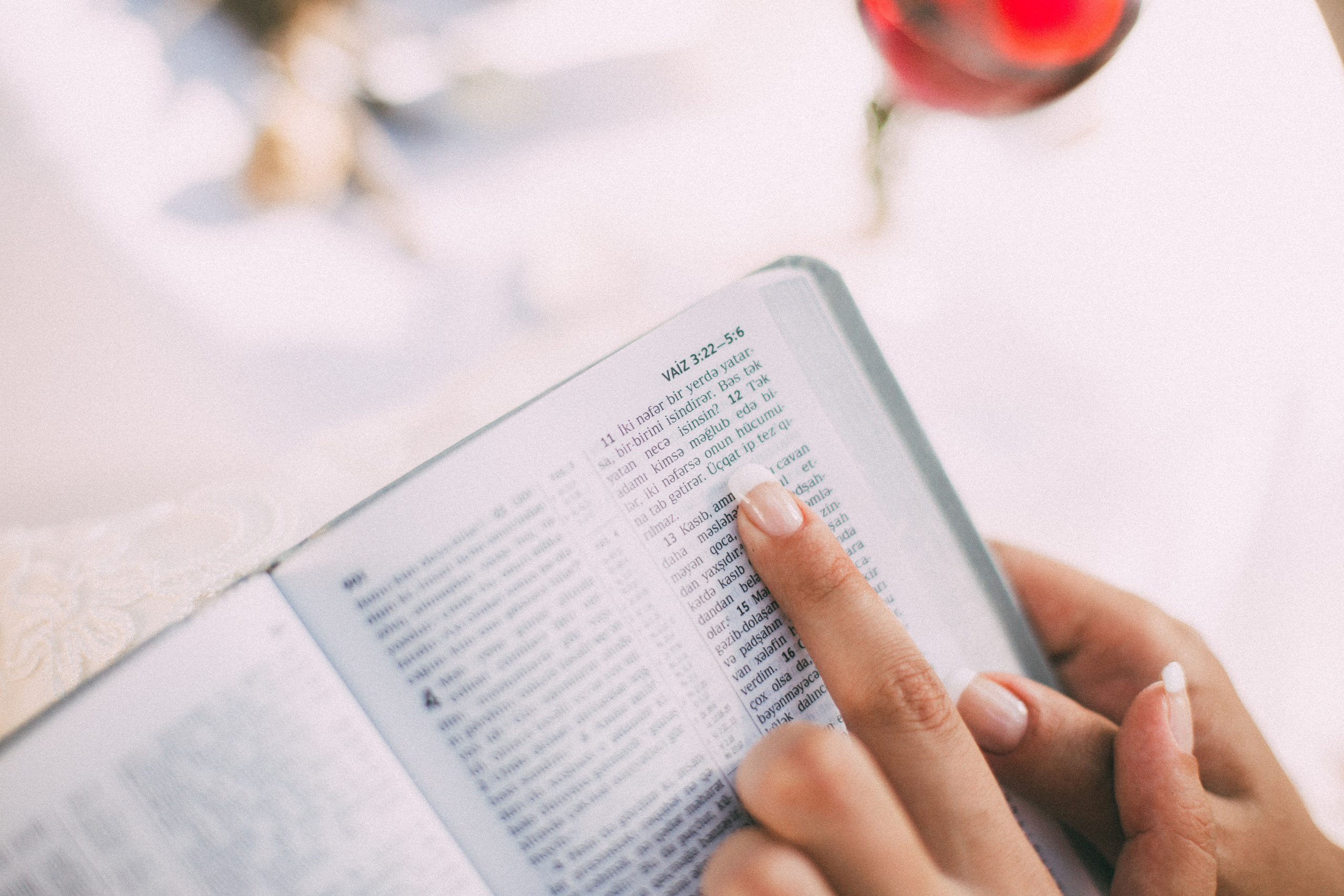 Orxan & Nermin. Свадебный и семейный фотограф в Баку Мамедов Мамед