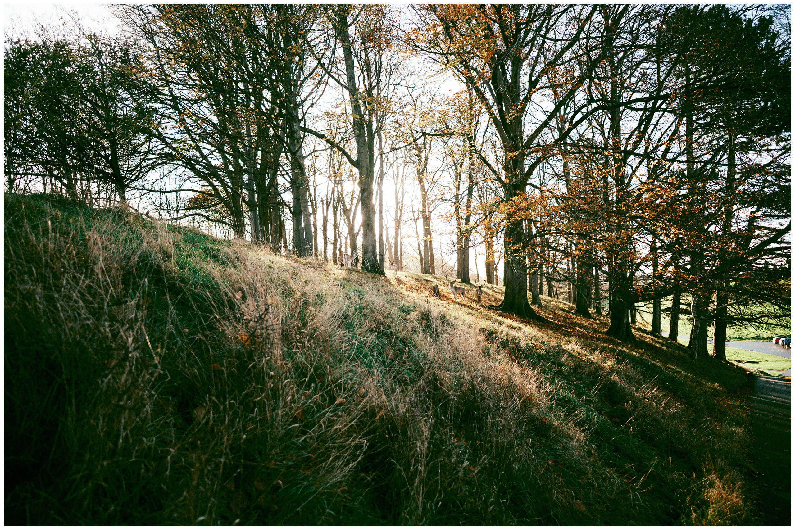 IRELAND. Inna Mendelson — Photographer