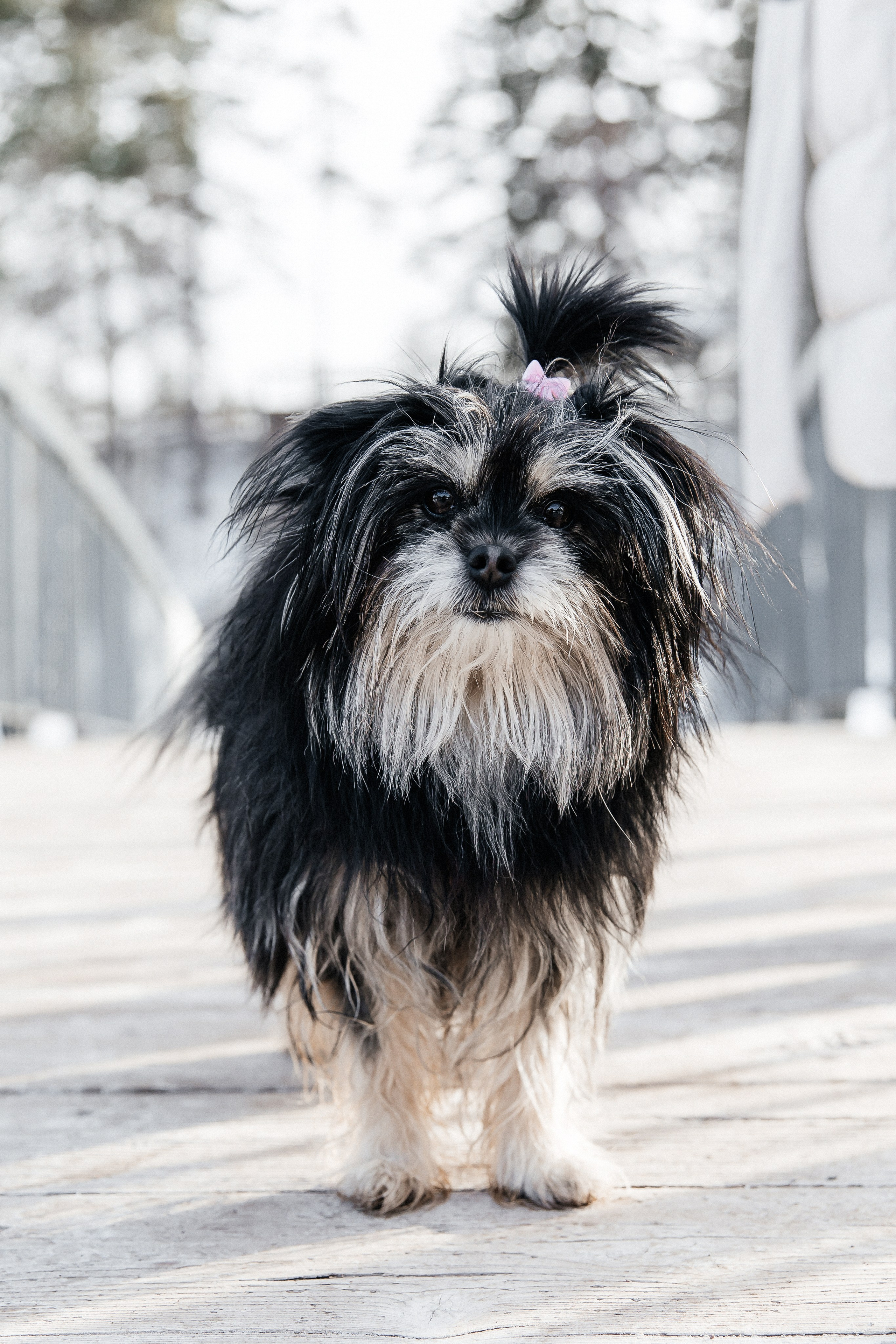 Tanya & Lola. Eugenia Guryev Photography | Portrait & Family Photographer in Moncton, New Brunswick