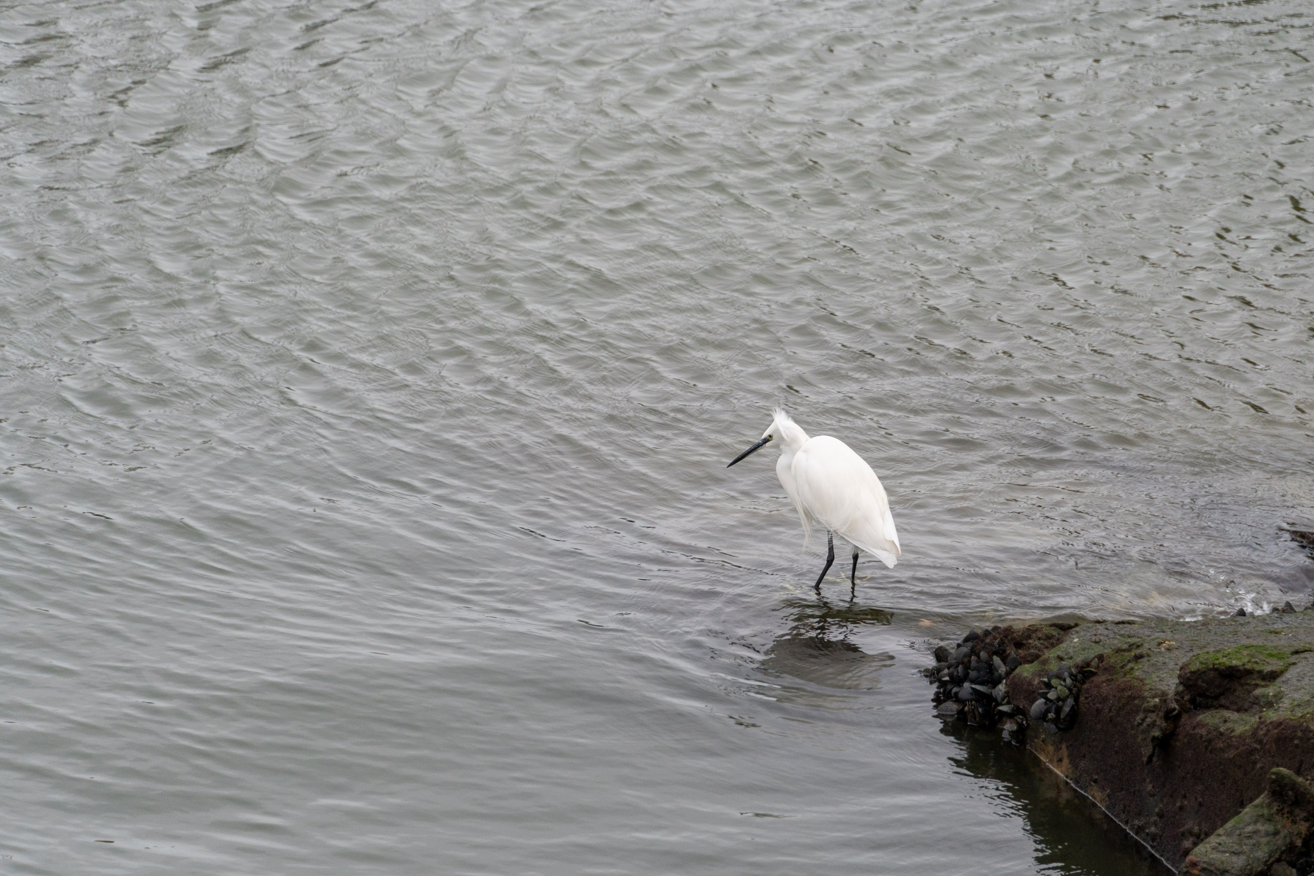 Lisabona 2025. Fotografiideplacere.net