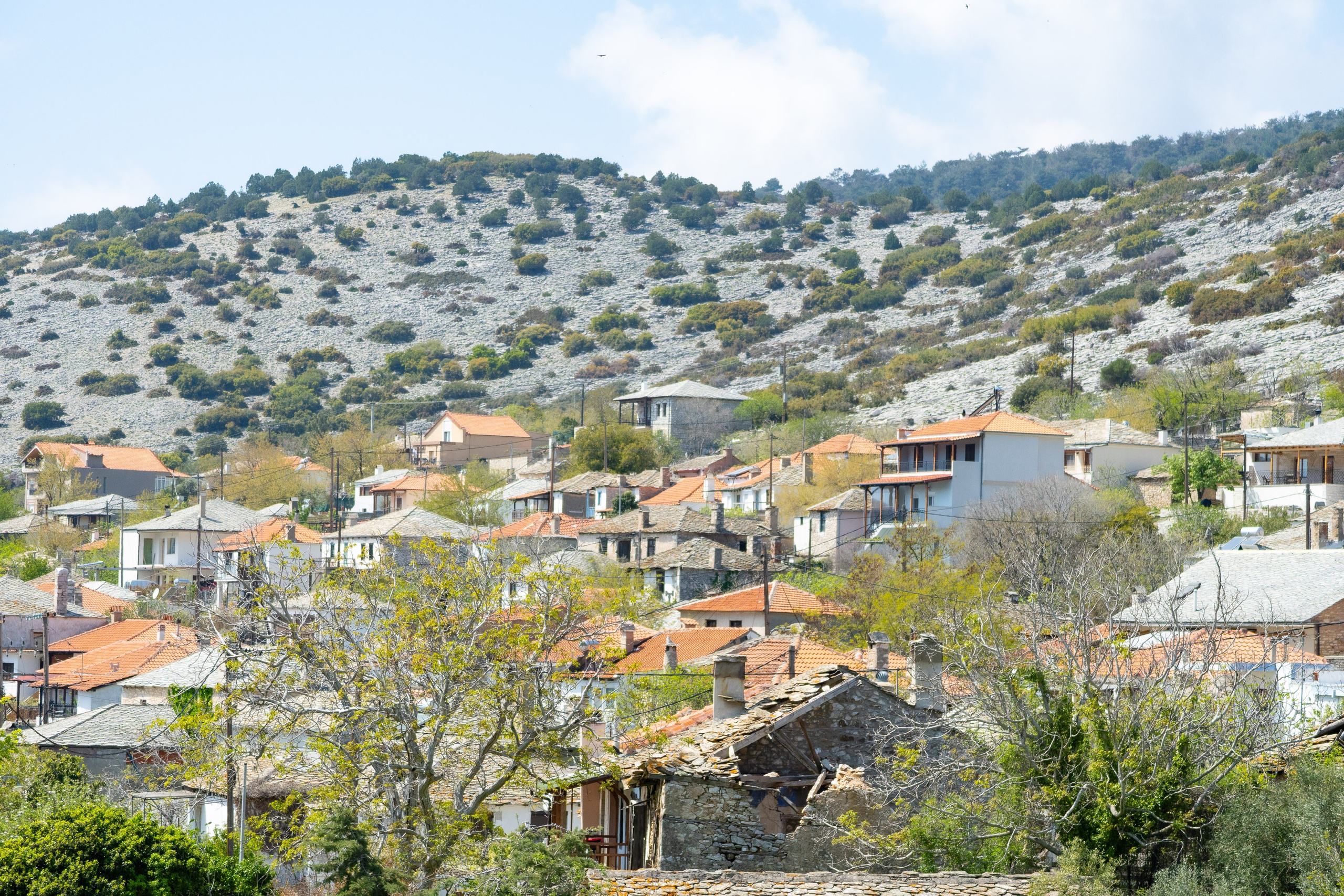 Thasos 2025. Fotografiideplacere.net