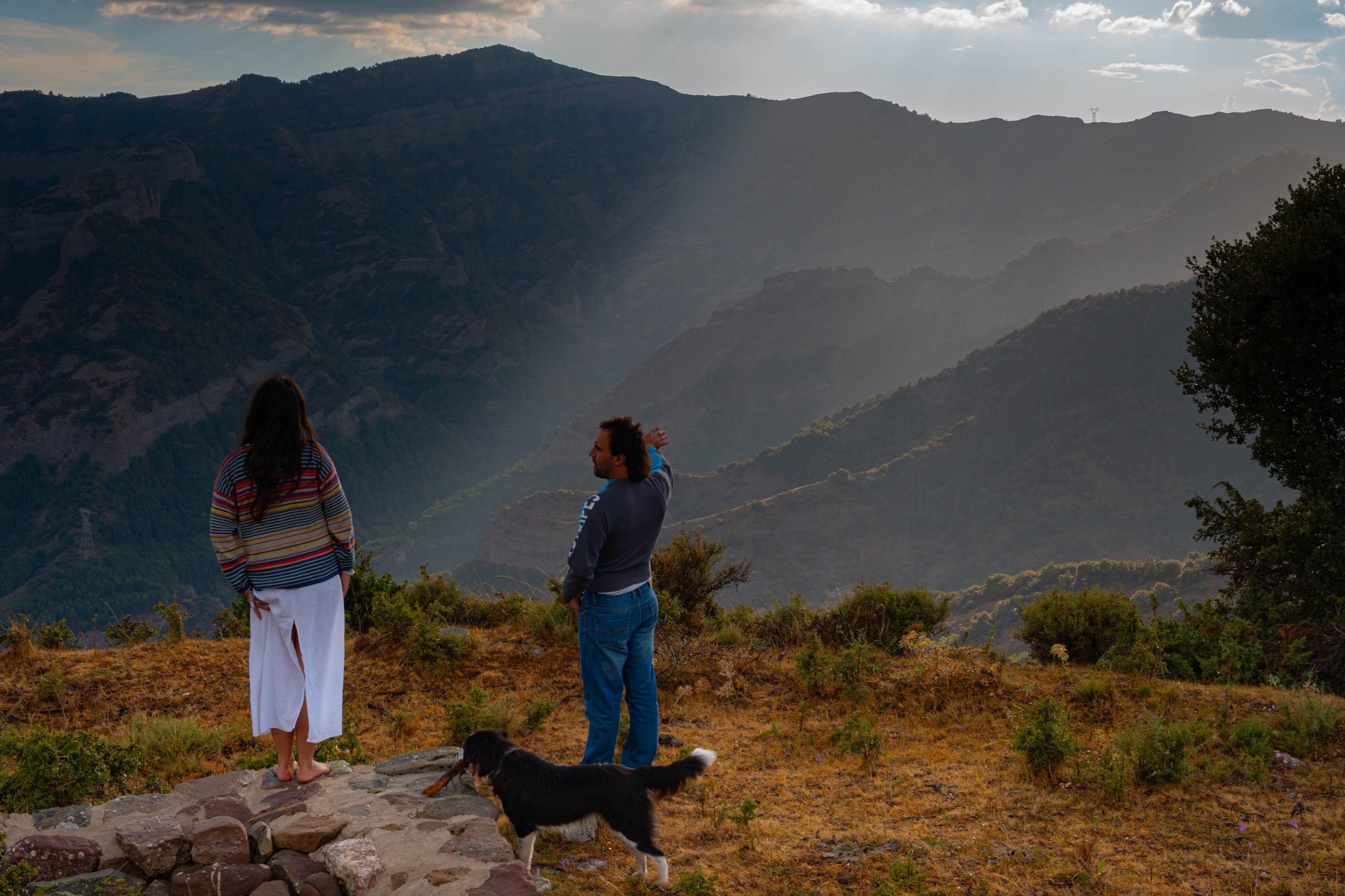 Lila. Alba del Norte Studio