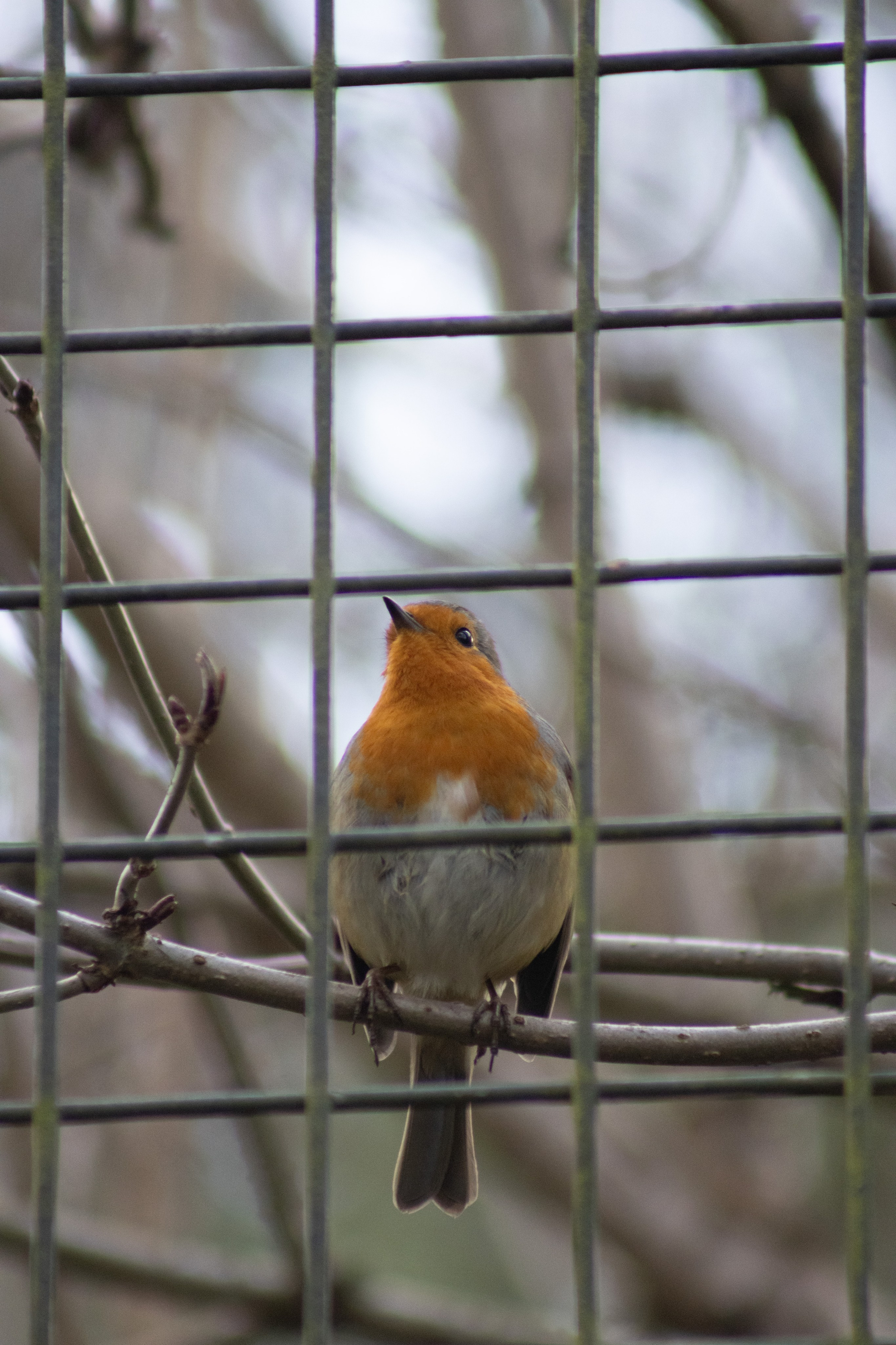 Nature. Portrait and Street photographer in Vilnius Edgar Shaipunas