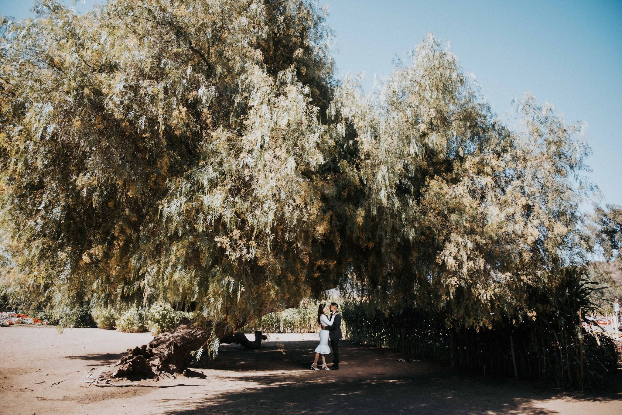 Alma & Ulises (Save The Date). Alex Martínez Fotógrafo | Bodas, retratos y eventos en Tijuana