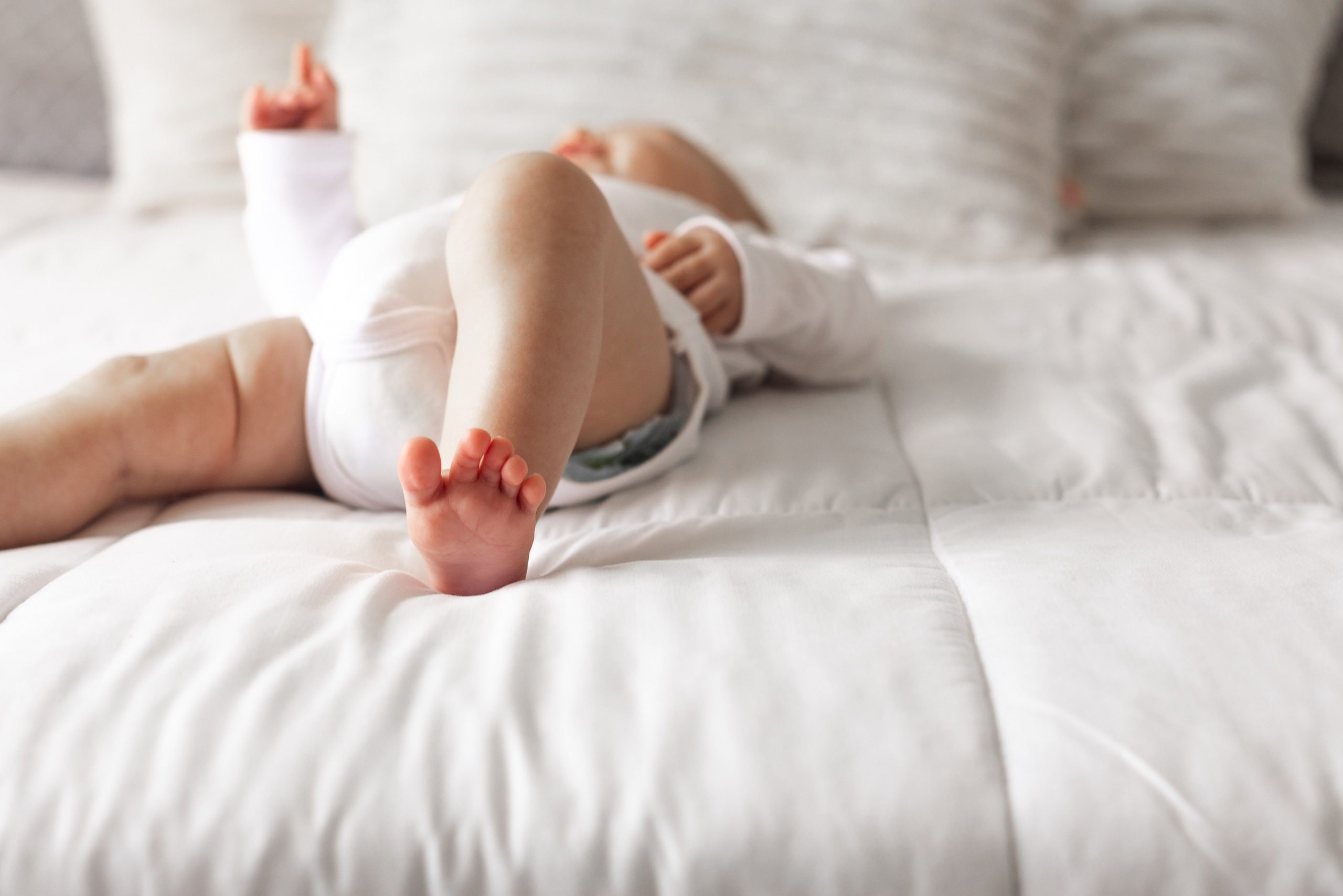 Maria Aurora (Familia)