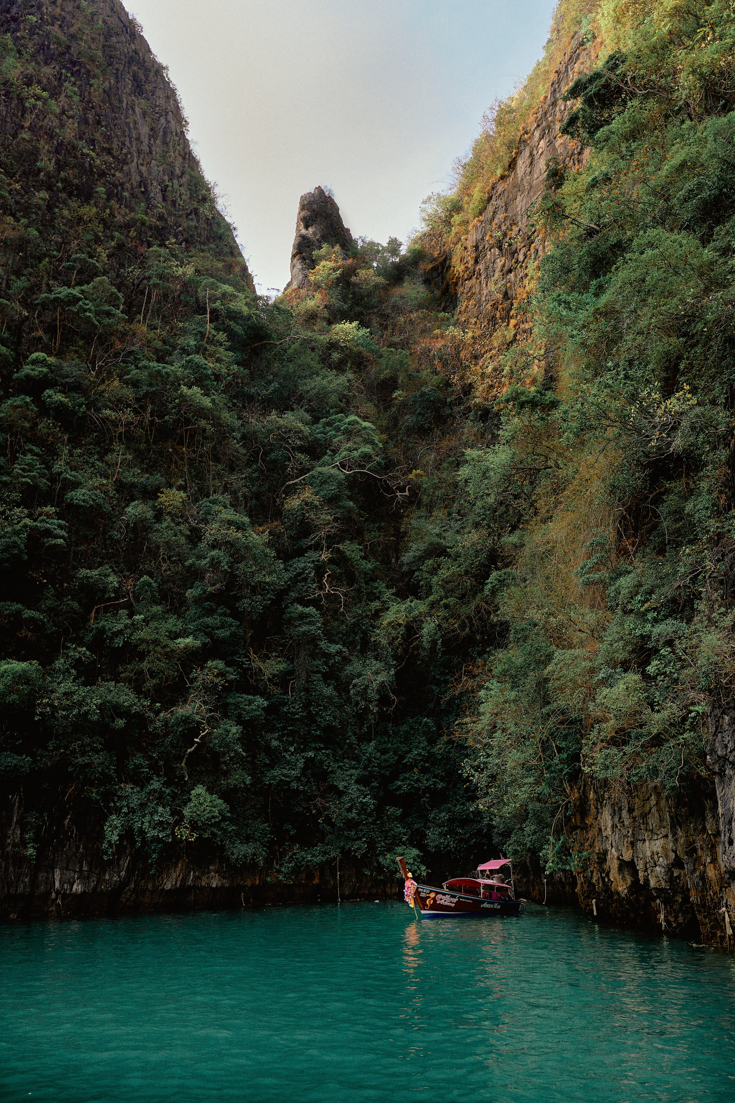 Nature. The Photographer