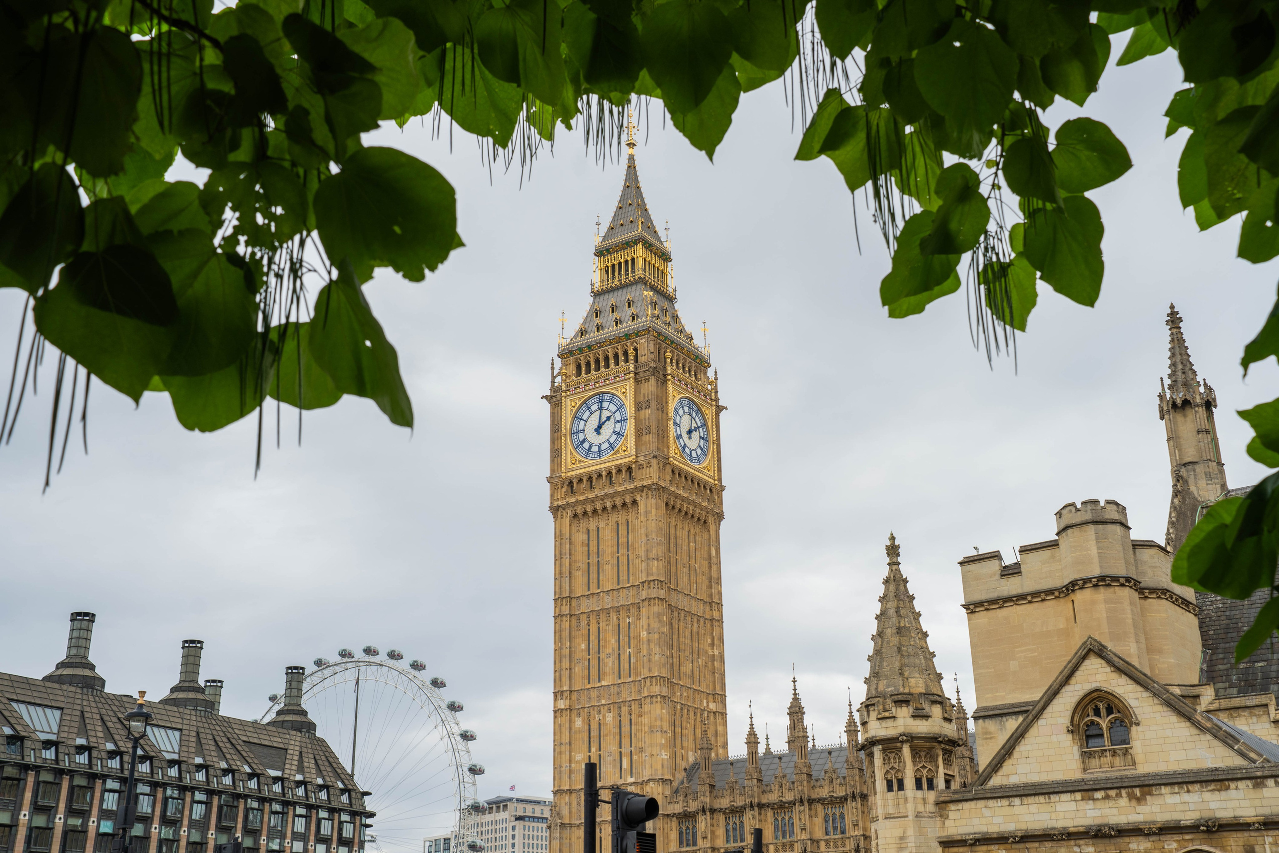 Alecsandru Braicu — Sports Photographer