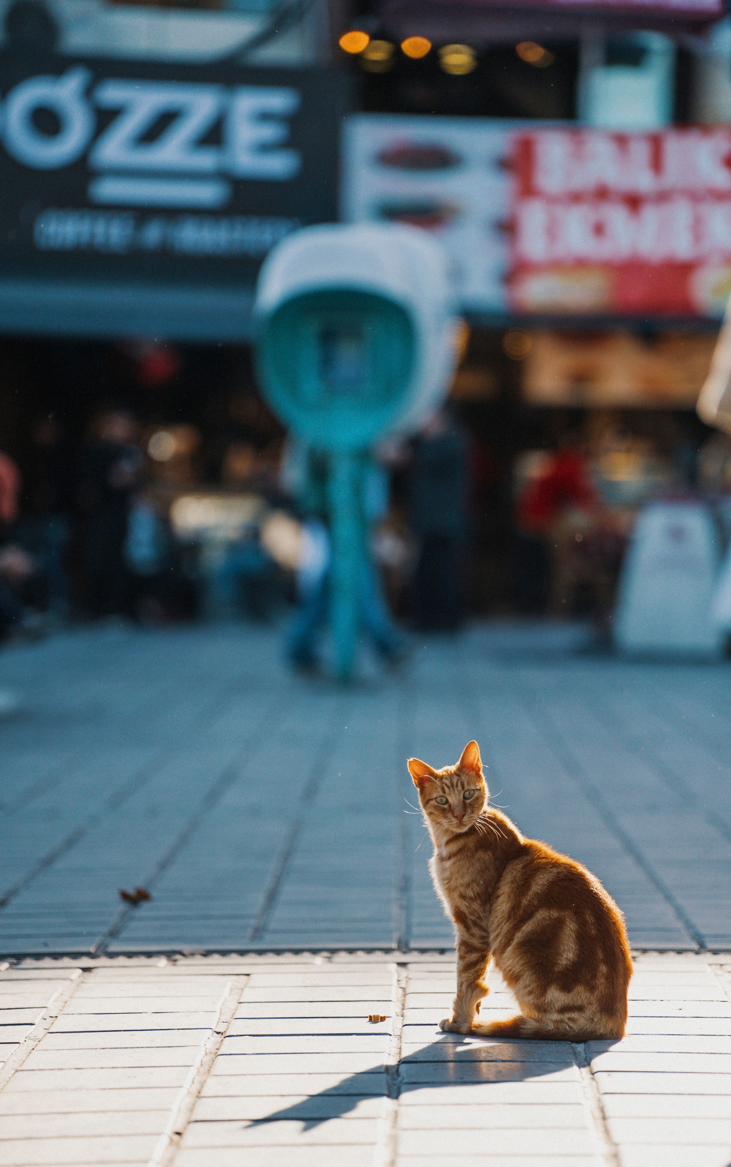 СТАМБУЛ. Стрит-фотография, полная абсурда, идиотизма и красоты