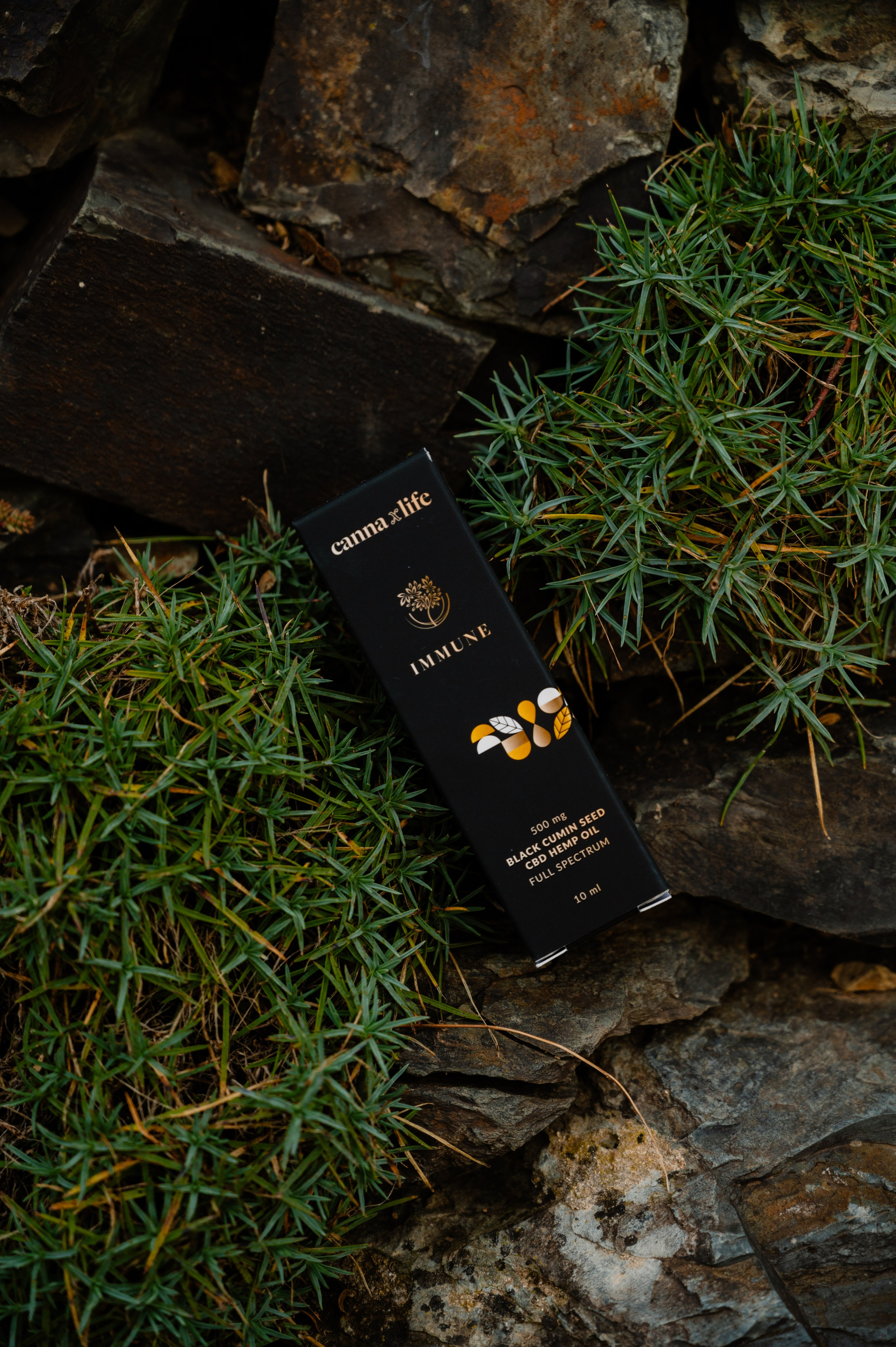 CannaXlife CBD products. ANNA-MARIA PHOTO CONTENT CREATOR — фотограф, эстет, художник и визуальный эксперт в Instagram, работающий в Праге