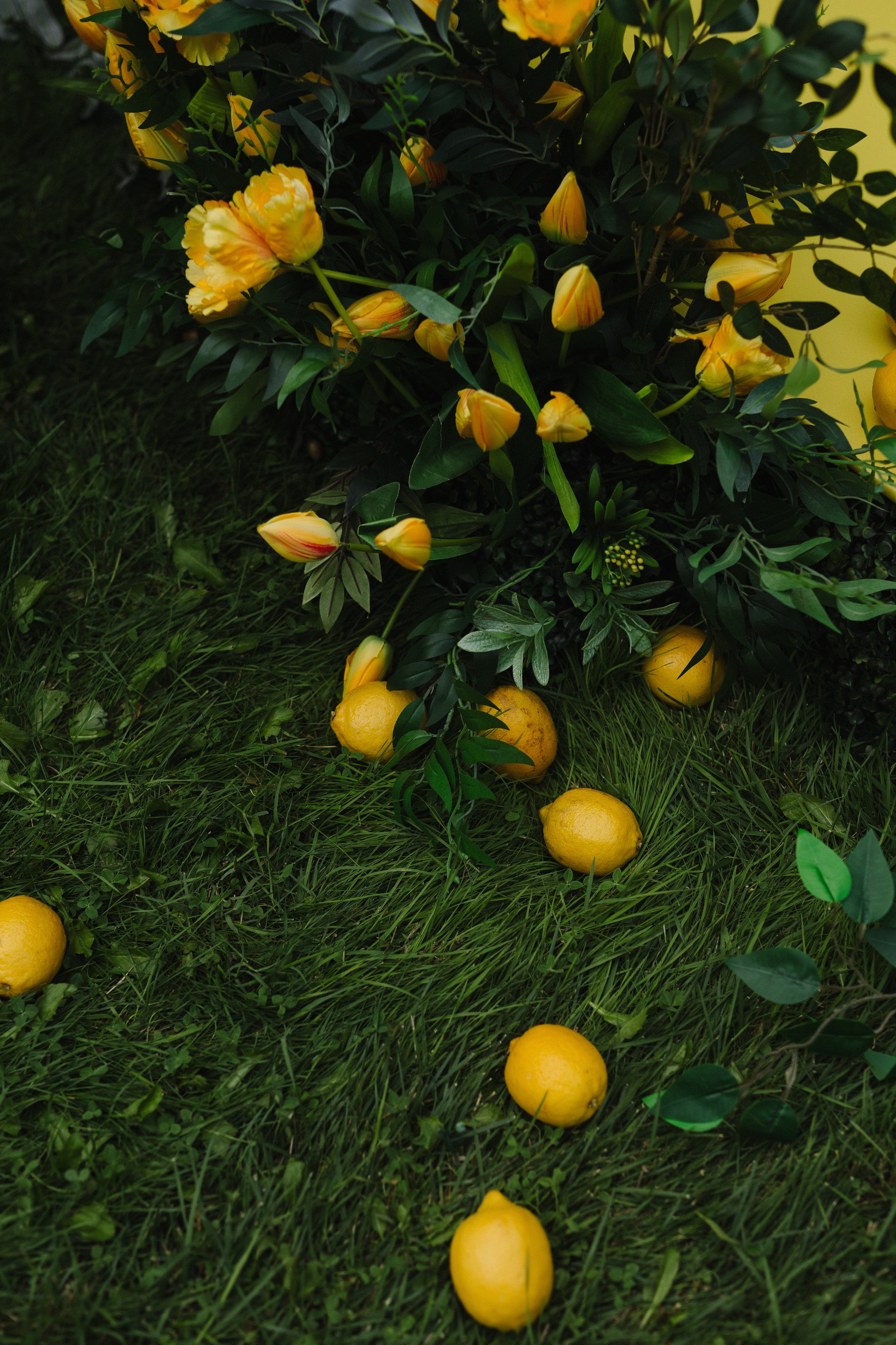 Алмаз и Алина. Азимжан Нуритдинходжаев — свадебный фотограф