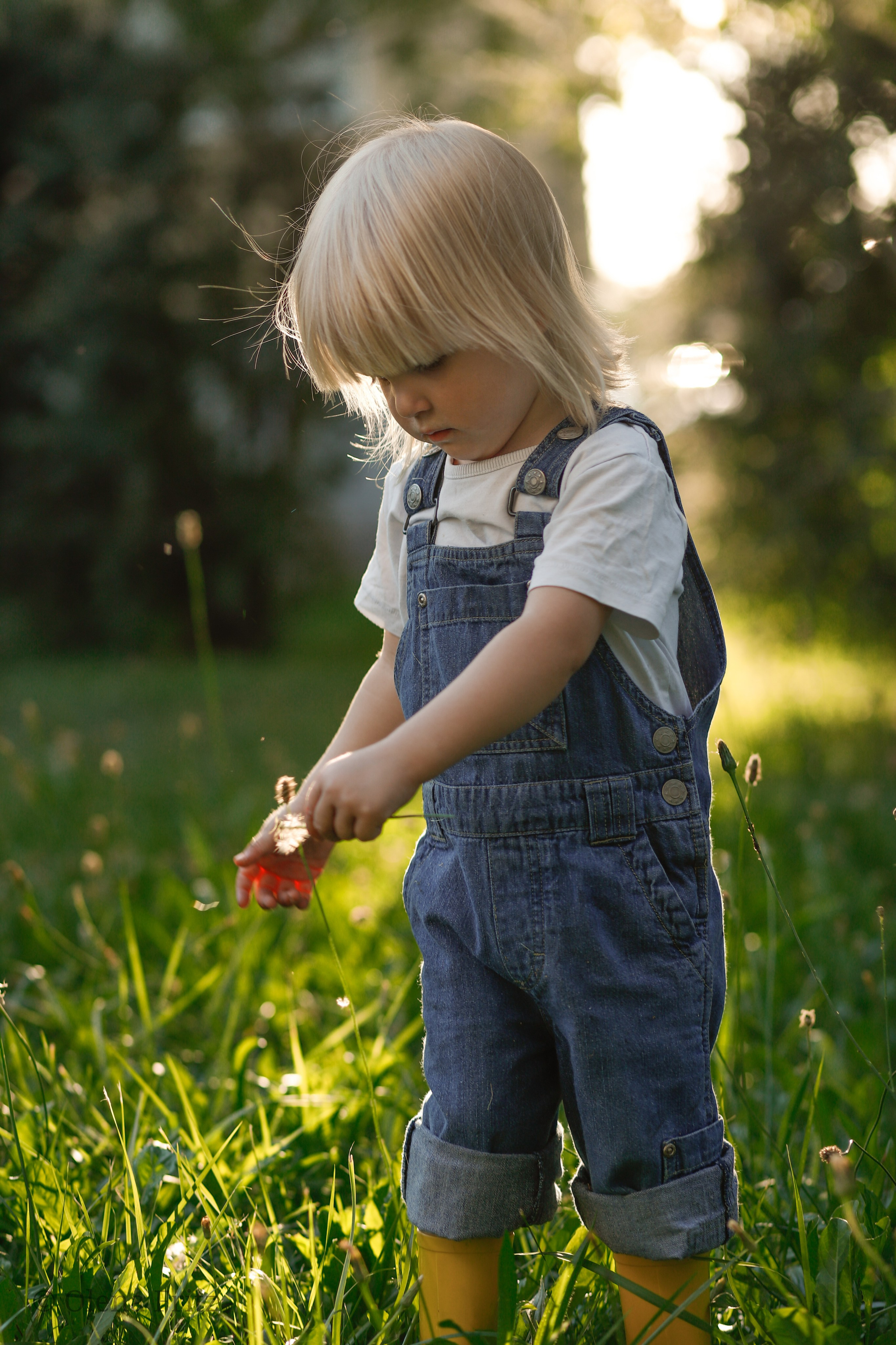 Mädchen im Garten. Olena Fritz Fotografie