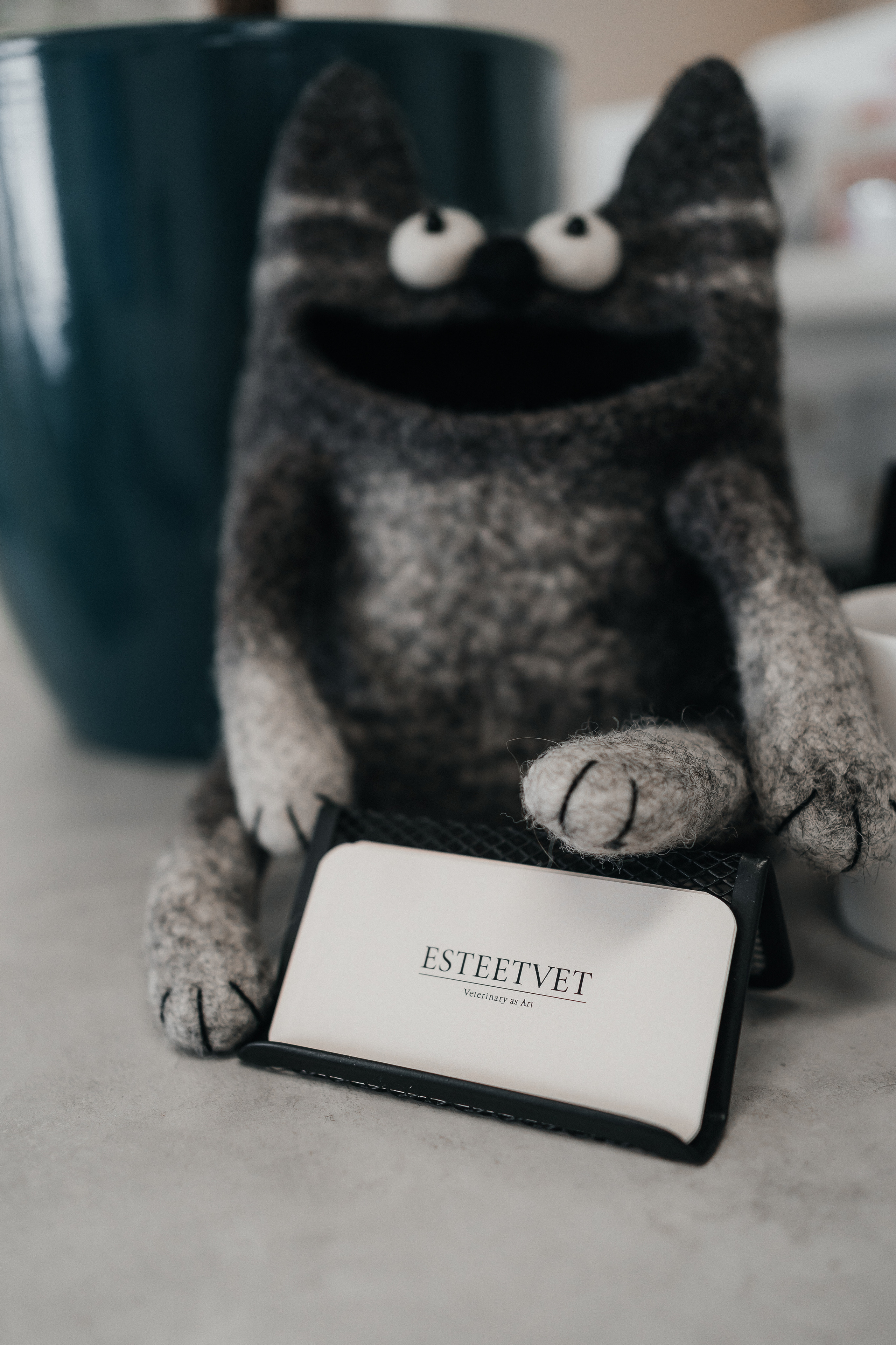 Veterinaarkliinik Esteevet. Fotograaf Tatjana Otter