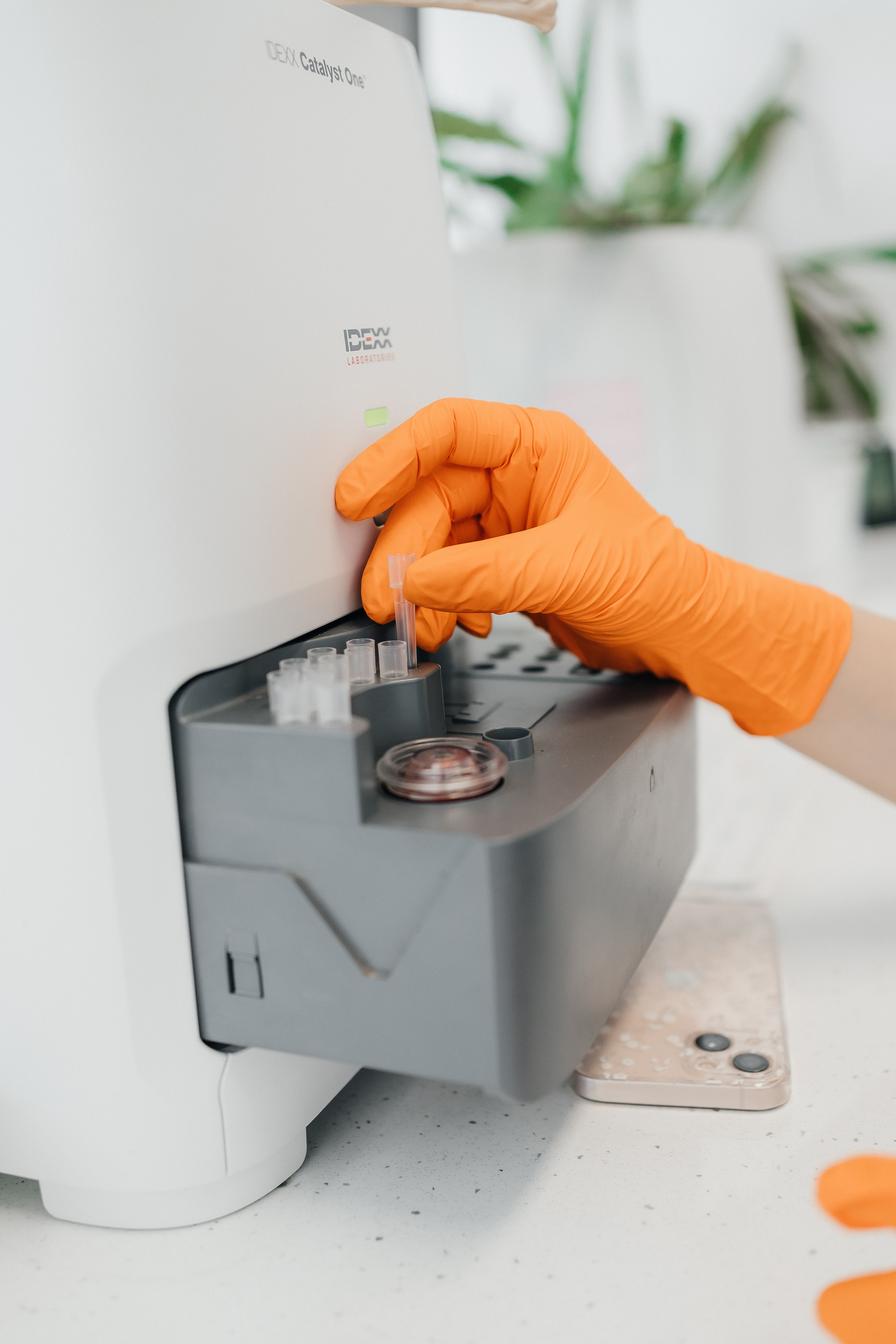 Veterinaarkliinik Esteevet. Fotograaf Tatjana Otter