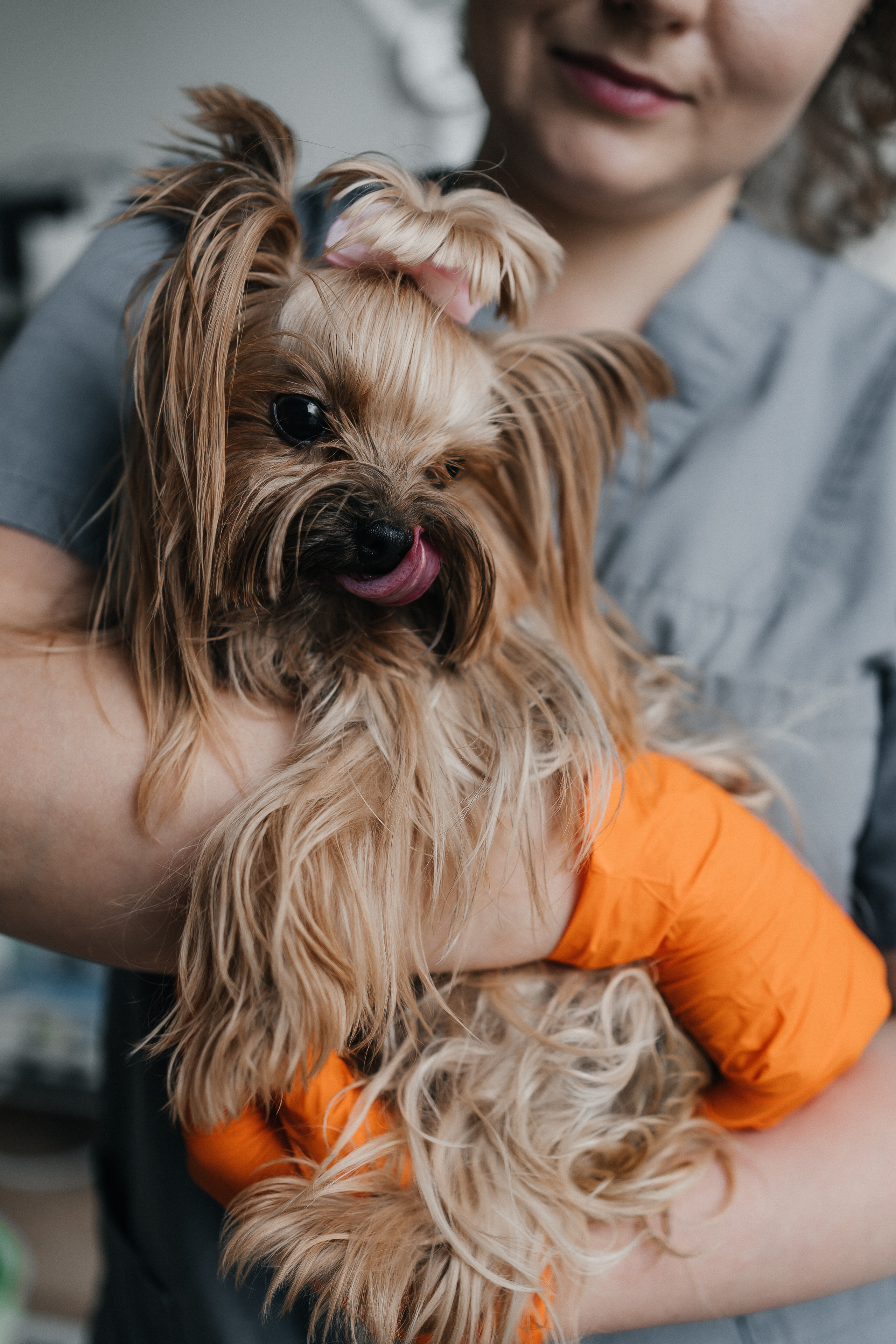 Veterinaarkliinik Esteevet. Fotograaf Tatjana Otter