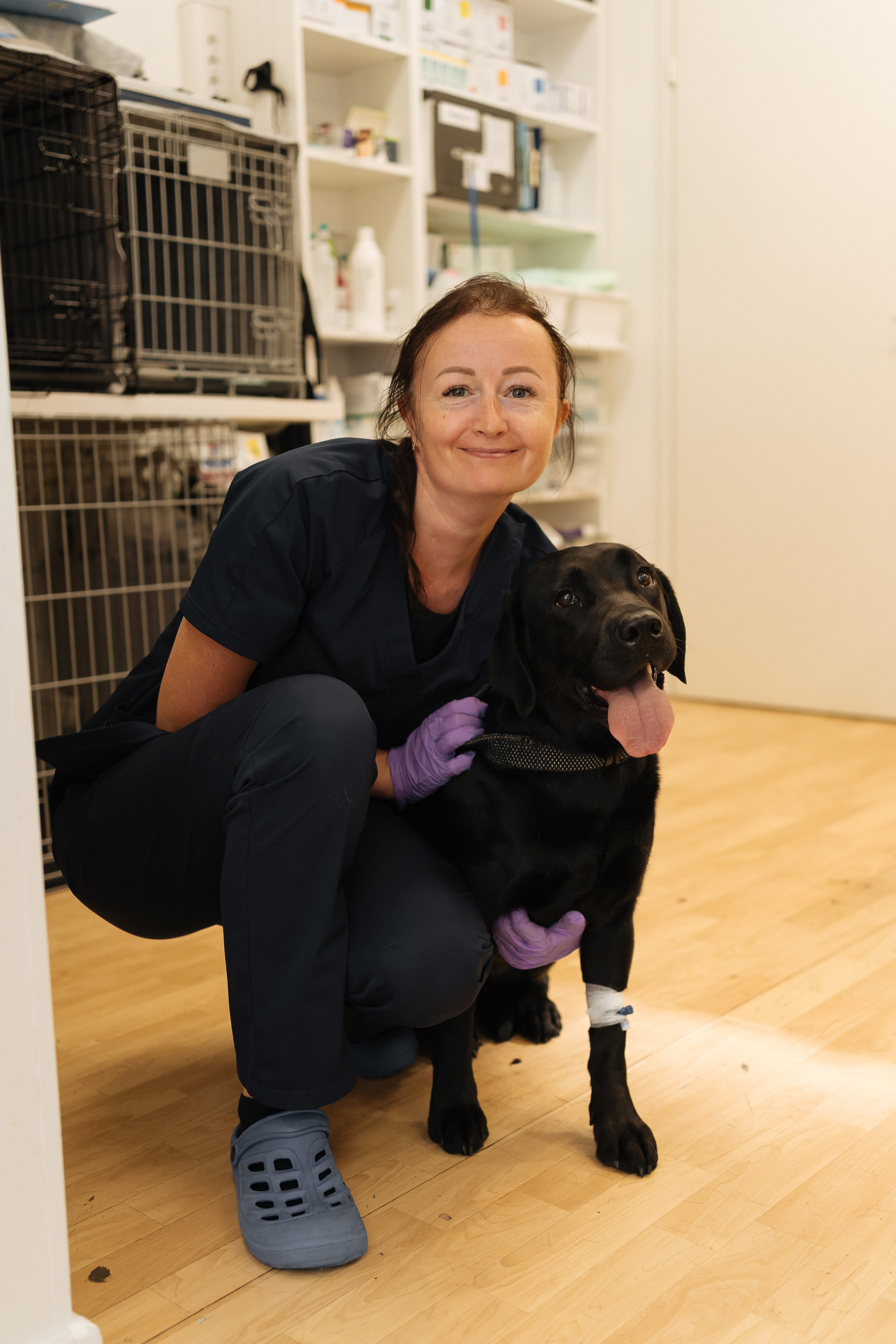 Veterinaarkliinik Esteevet. Fotograaf Tatjana Otter