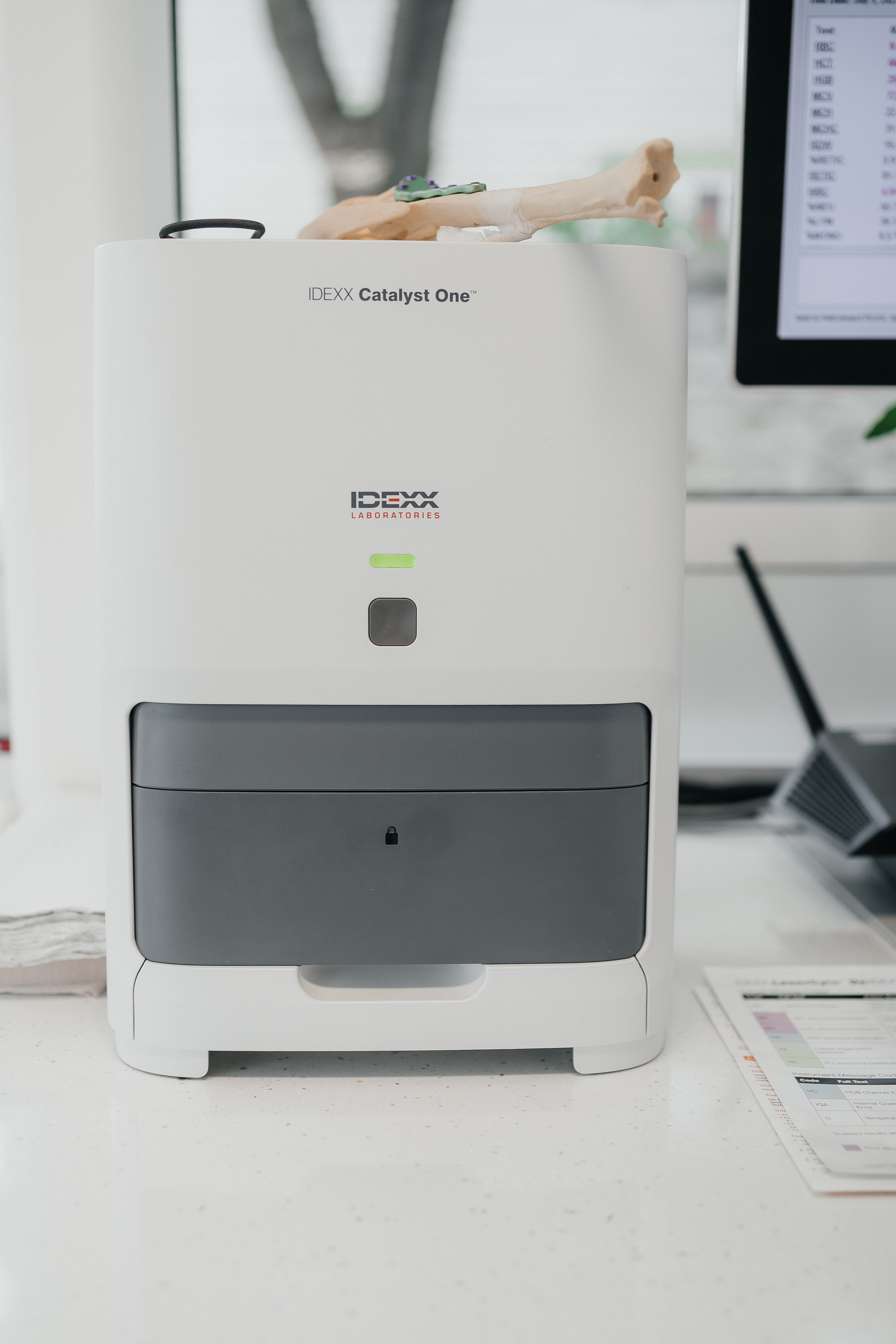 Veterinaarkliinik Esteevet. Fotograaf Tatjana Otter