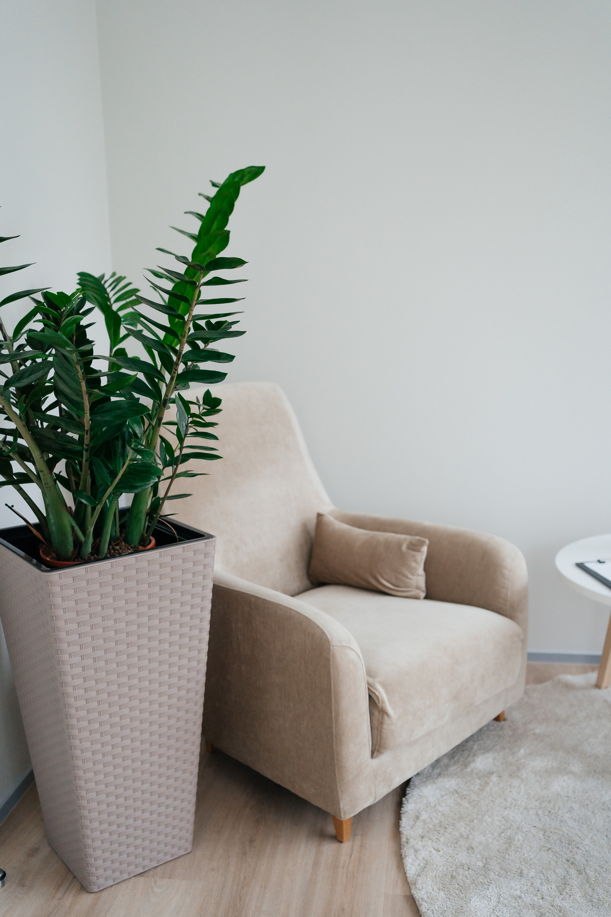 Контент для психолога. Fotograaf Tatjana Otter