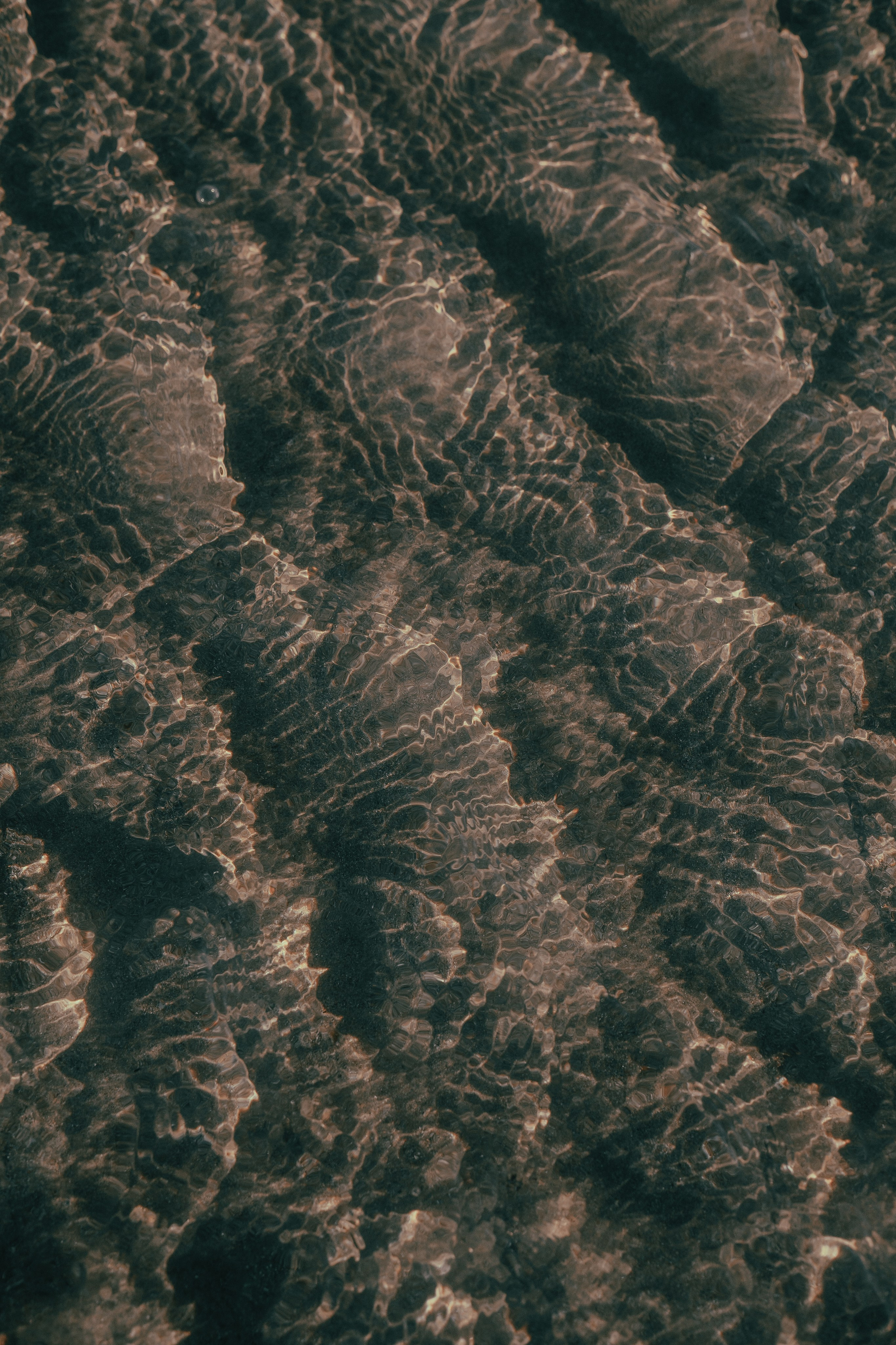 Alicia. Lisbon Event Photographer