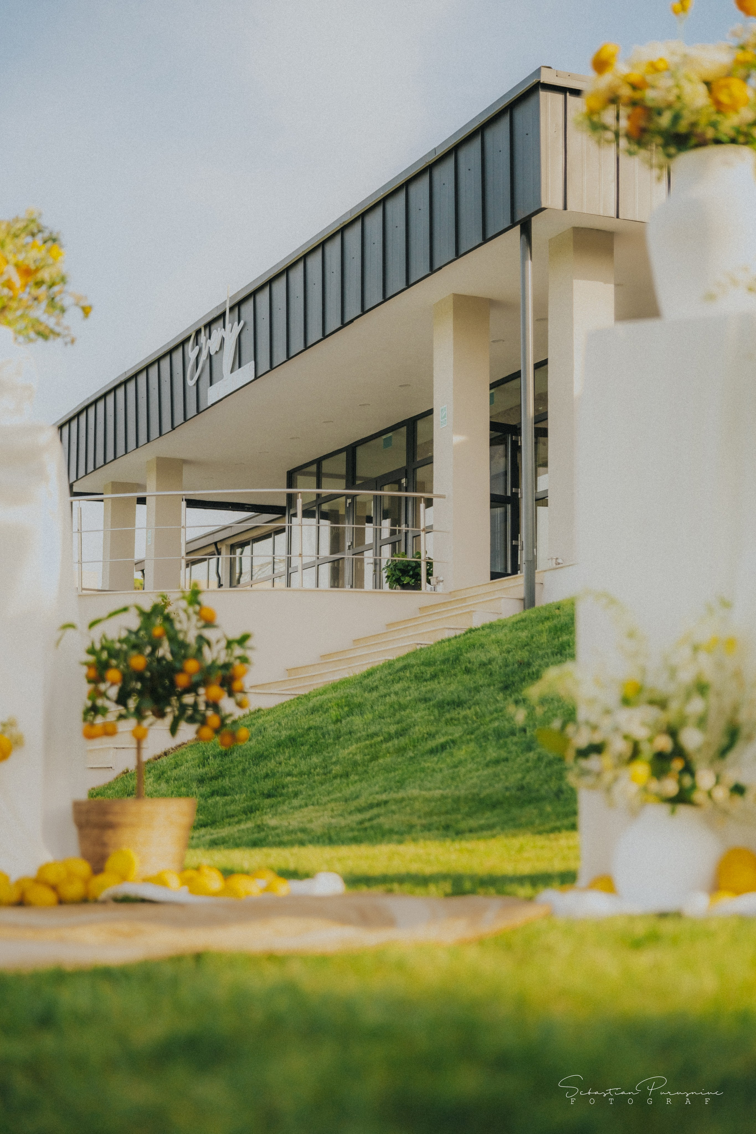 Love & Lemons. Sebastian Purusniuc Fotograf - Iasi