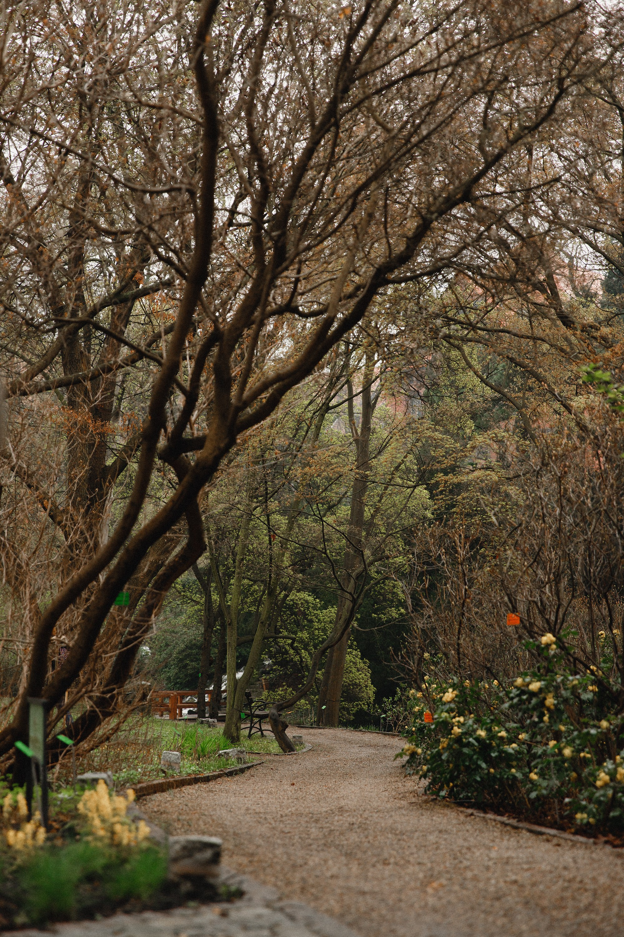 Botanical garden in Wroclaw. Kaja | fotograf we Wrocławiu | ludzie i psy