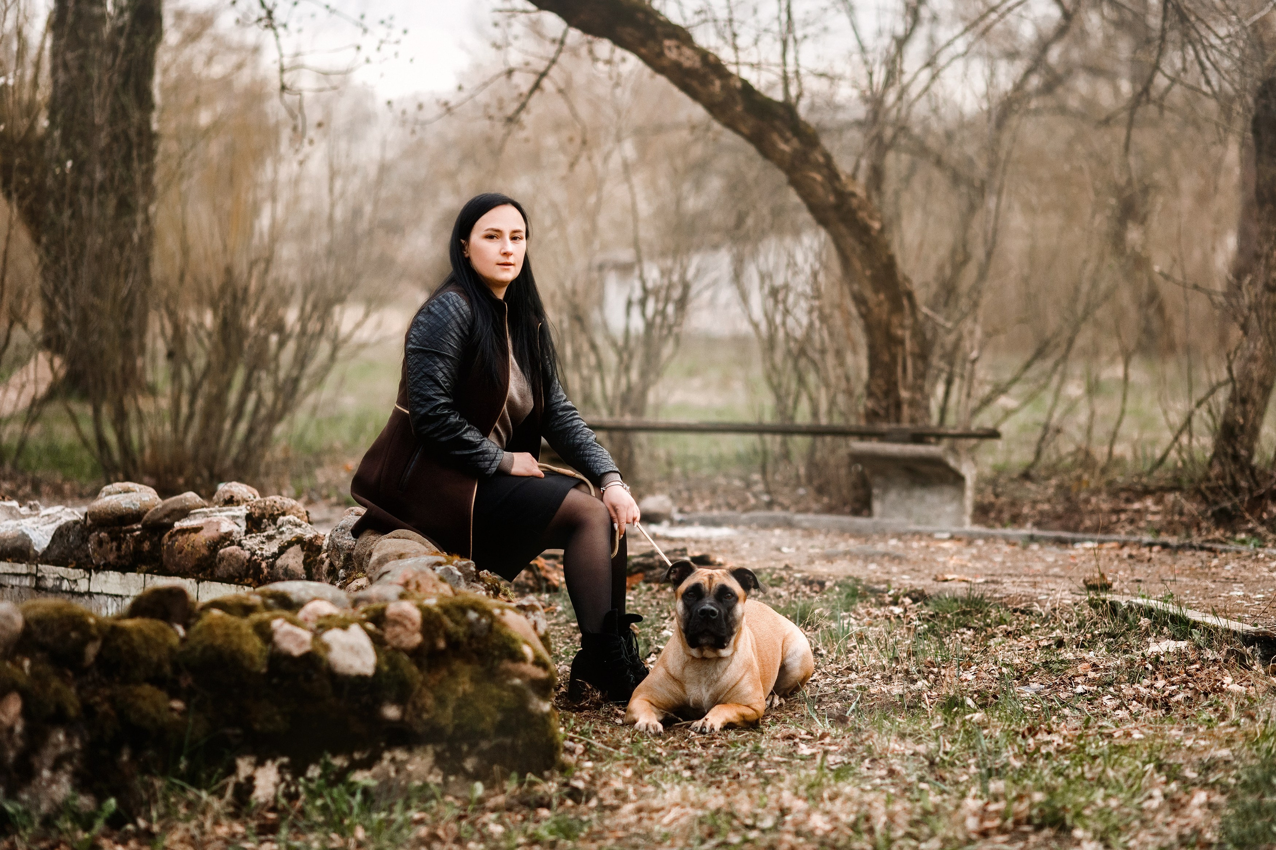 Spring ca de bou. Kaja | fotograf psów we Wrocławiu