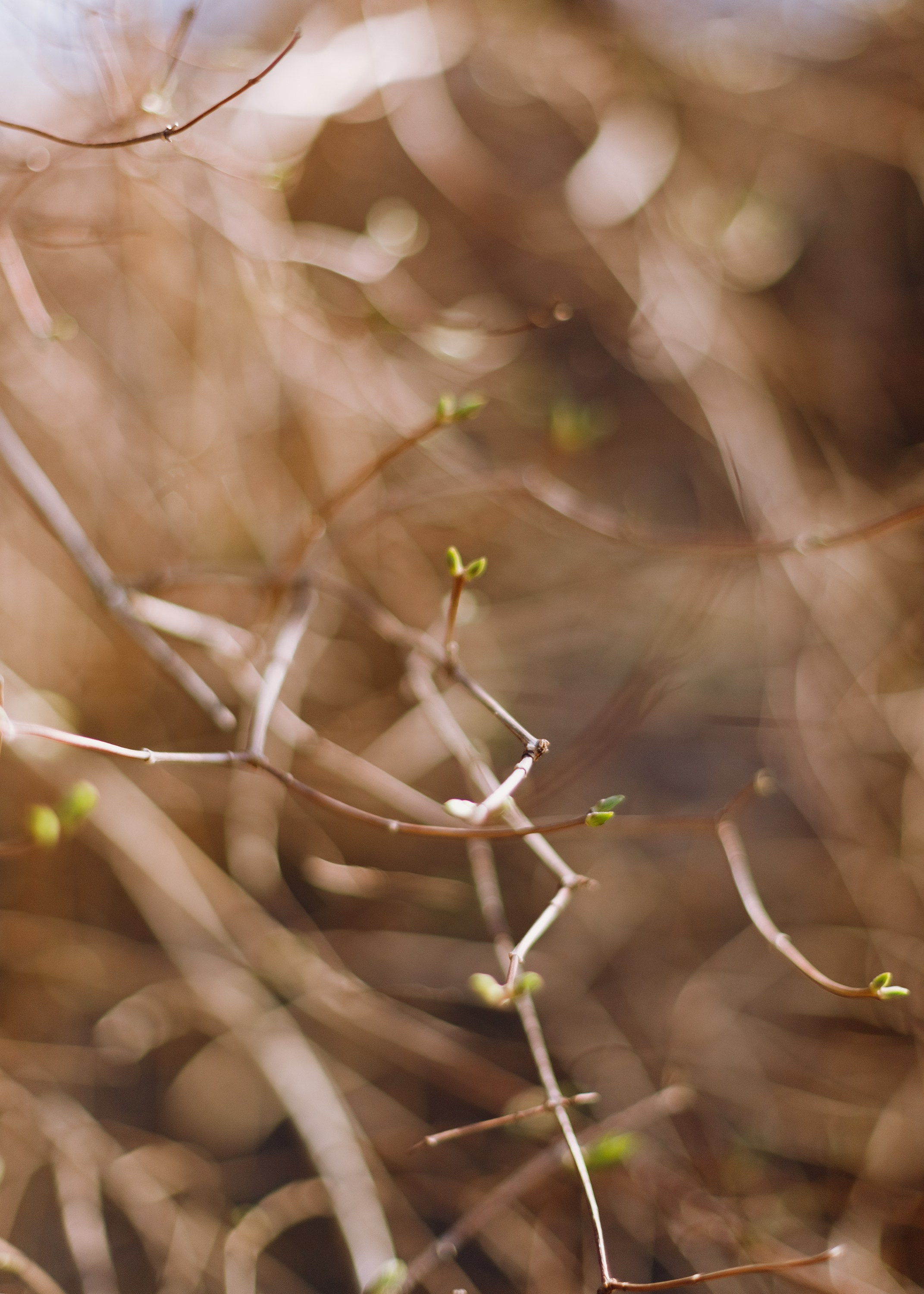 Psychologist blog content. Kaja | fotograf we Wrocławiu | ludzie i psy