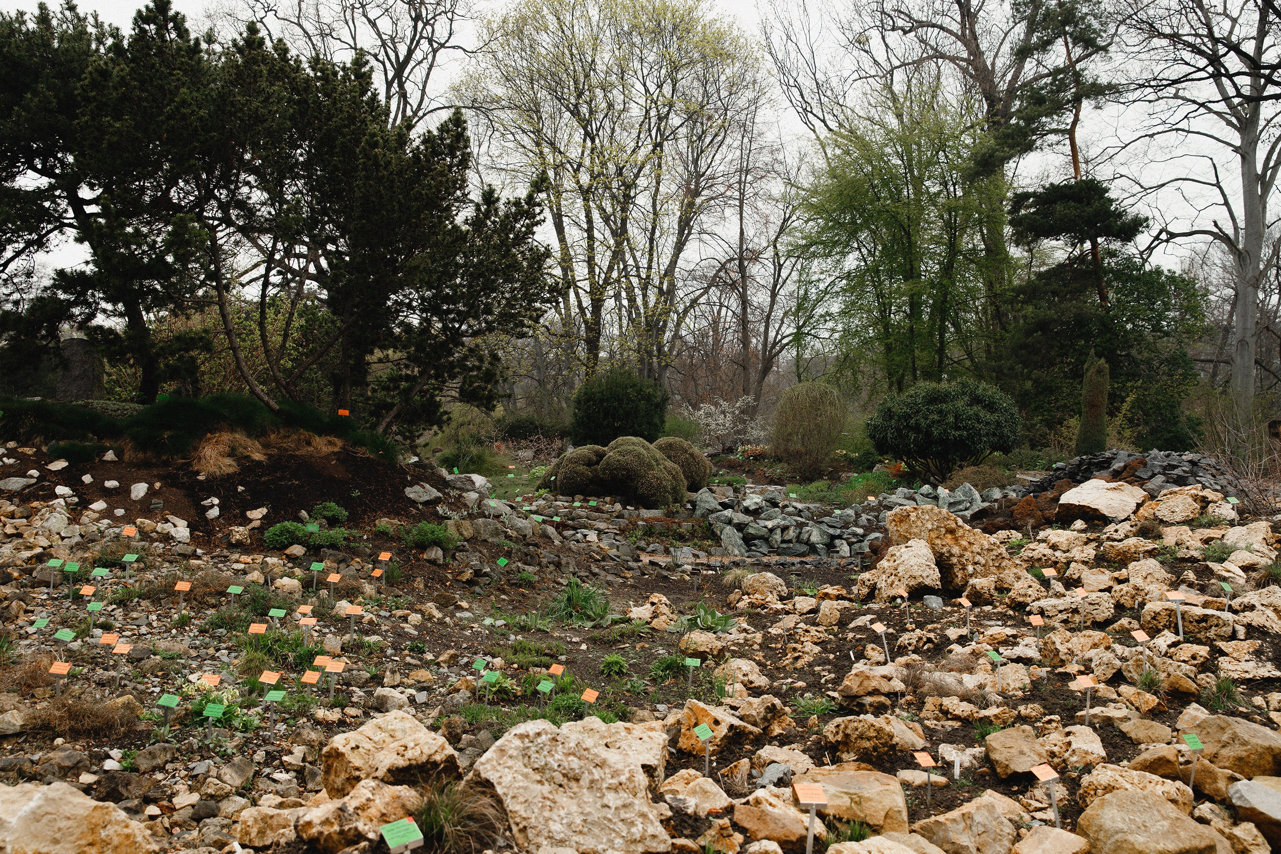 Botanical garden in Wroclaw. Kaja | fotograf we Wrocławiu | ludzie i psy