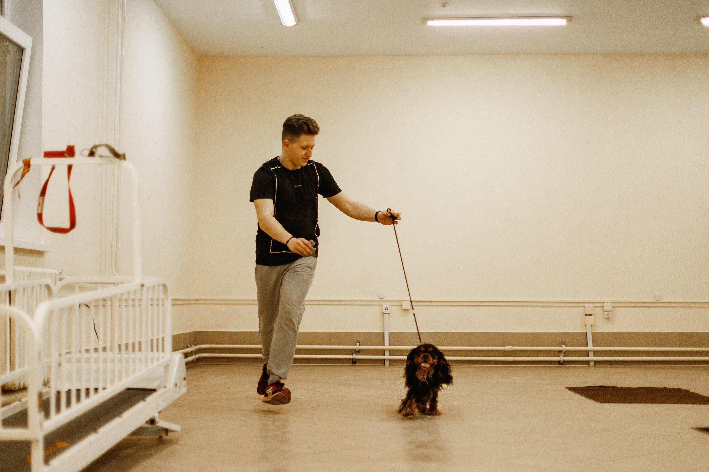 Dog handling hall. Kaja | fotograf we Wrocławiu | ludzie i psy