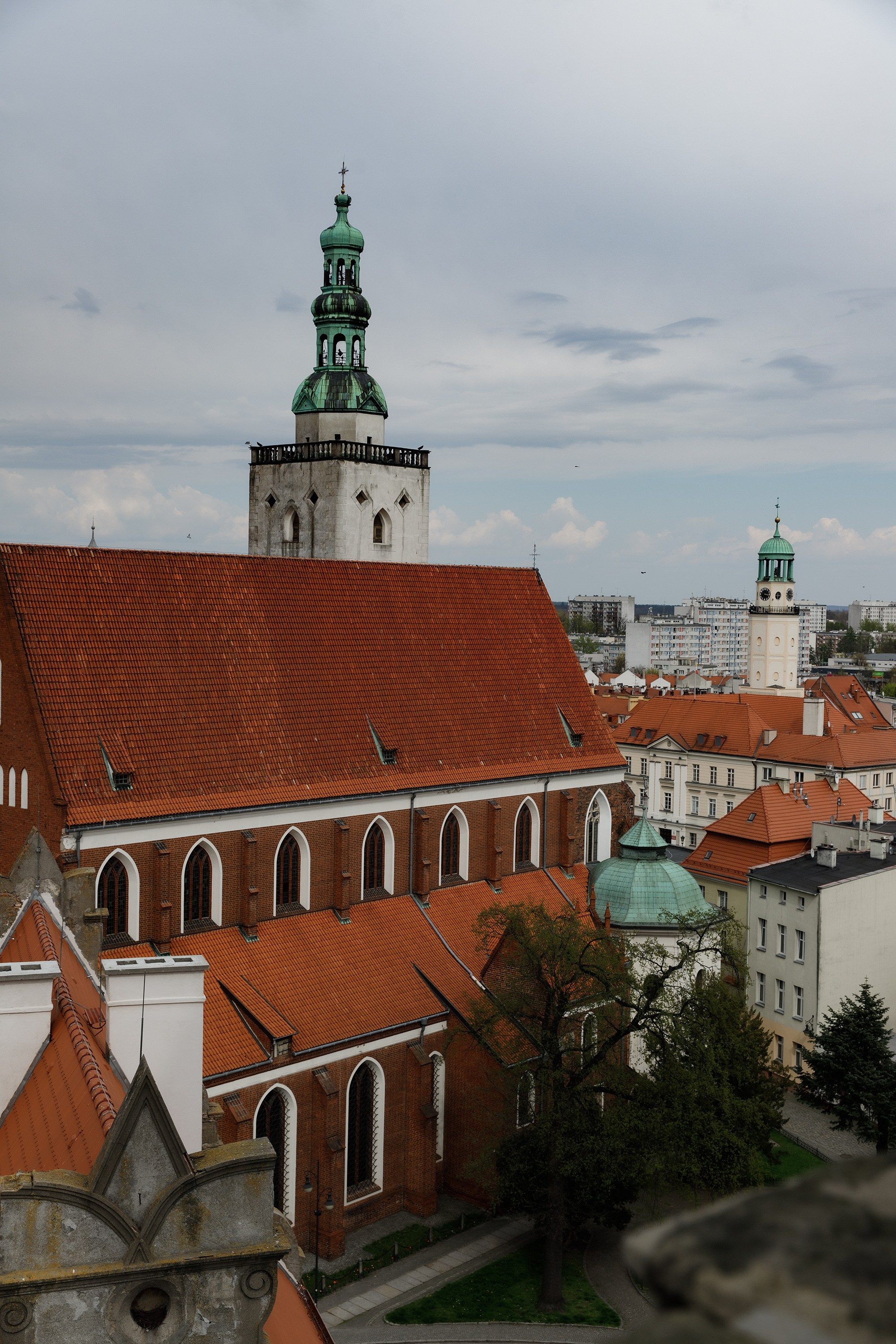 Oleśnica castle. Kaja | fotograf psów we Wrocławiu