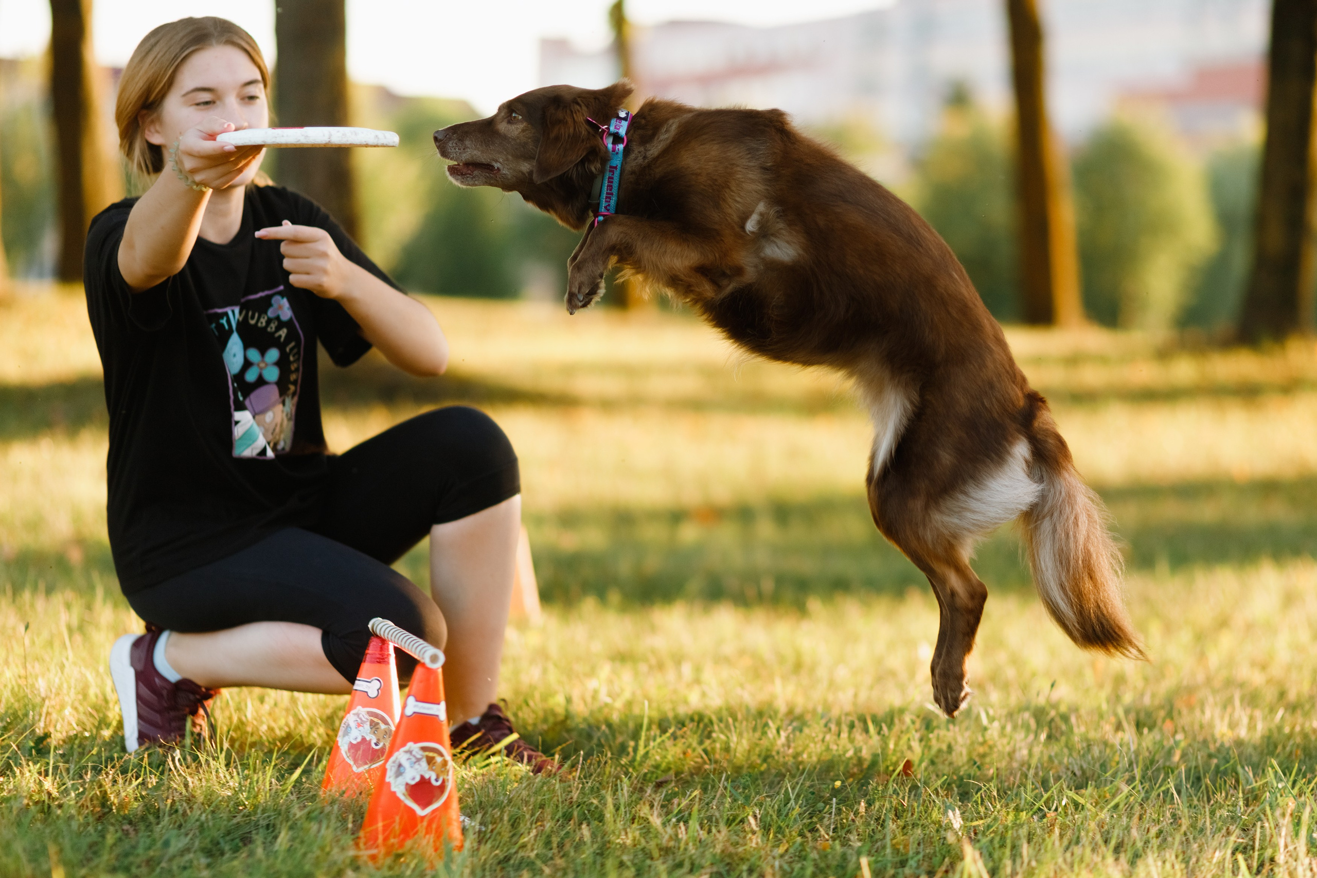 Frisbee workshop of Darya Lukina. Kaja | fotograf we Wrocławiu | ludzie i psy