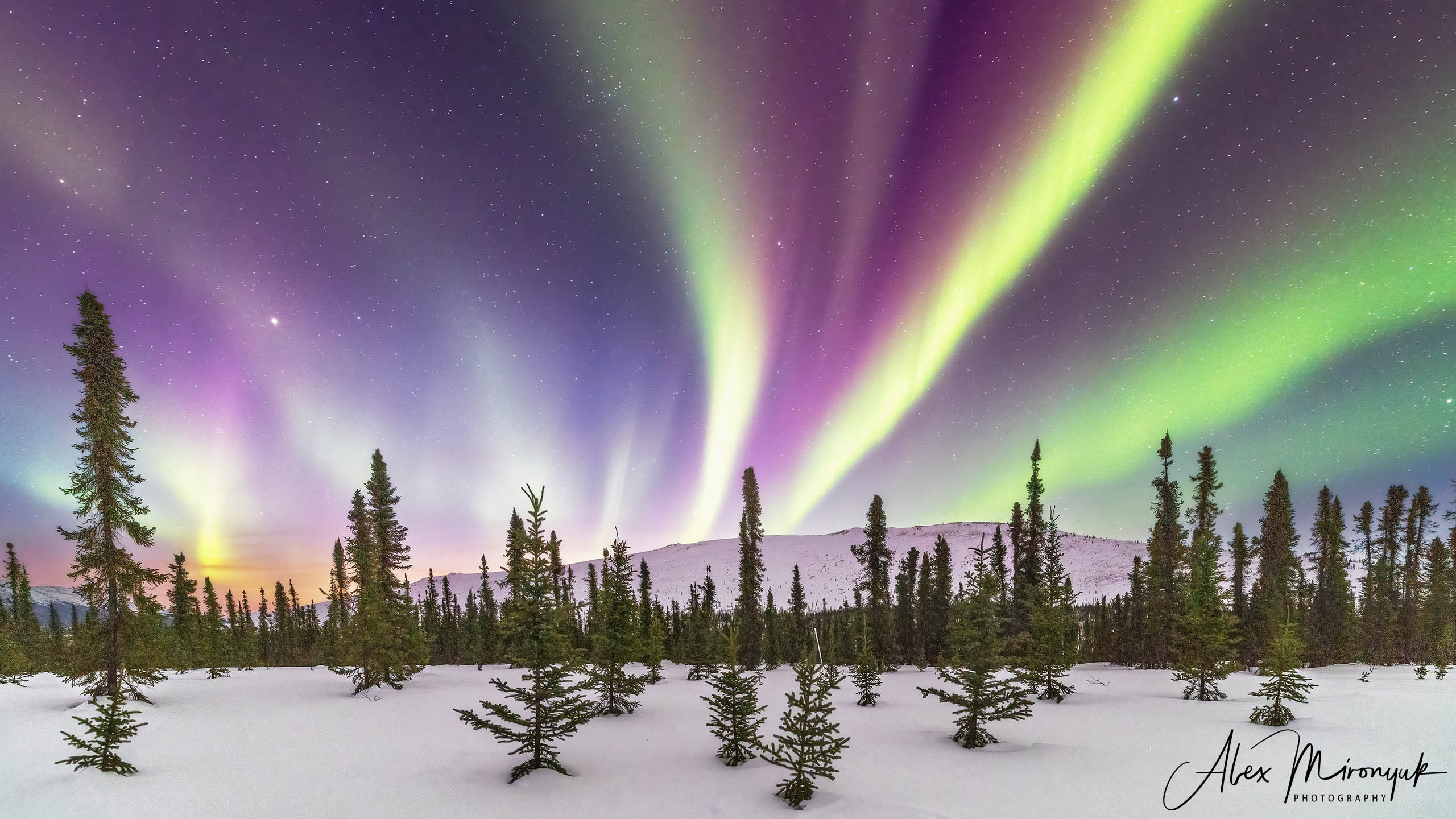 Chasing the Aurora Borealis. Alex Mironyuk Photography