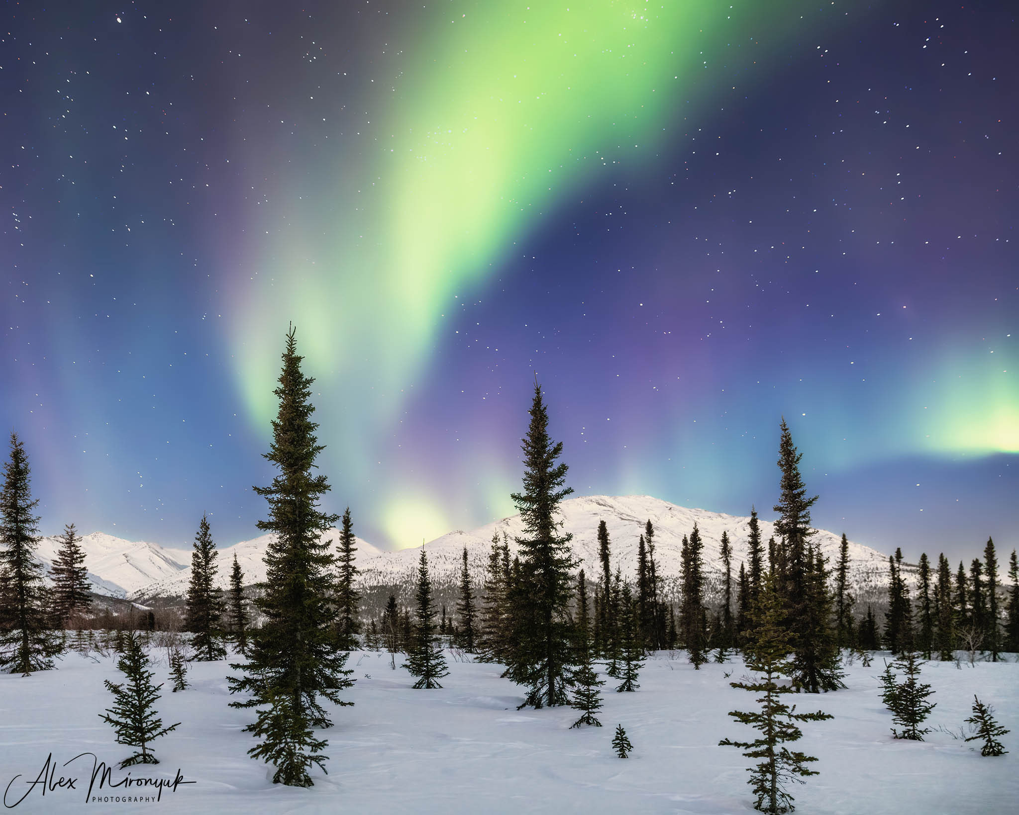 Chasing the Aurora Borealis. Alex Mironyuk Photography