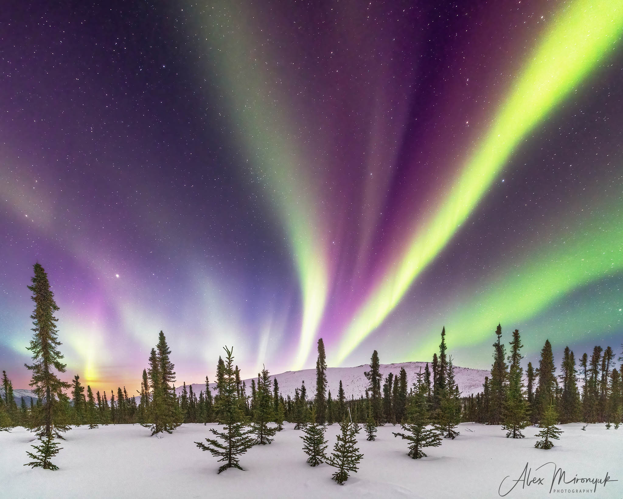 Chasing the Aurora Borealis. Alex Mironyuk Photography