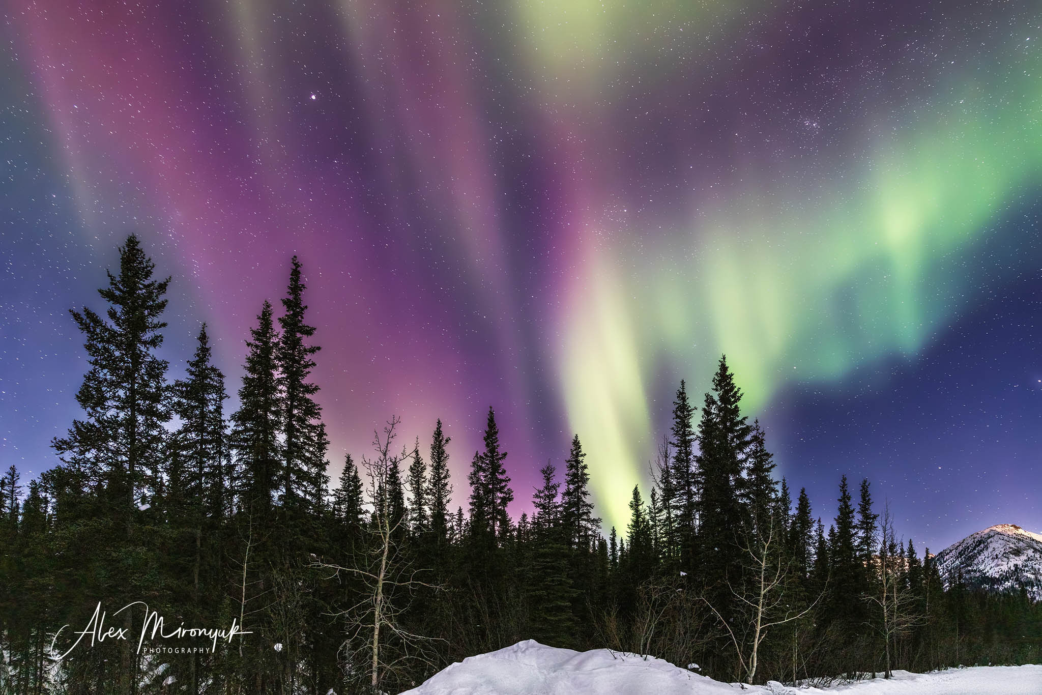 Chasing the Aurora Borealis. Alex Mironyuk Photography